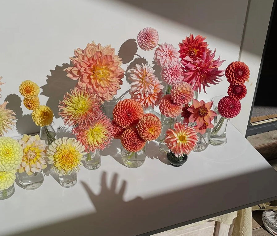 Interwiev with florist Polina Chentsova
