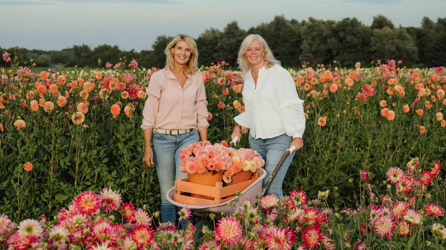 Fam Flower Farm Interview