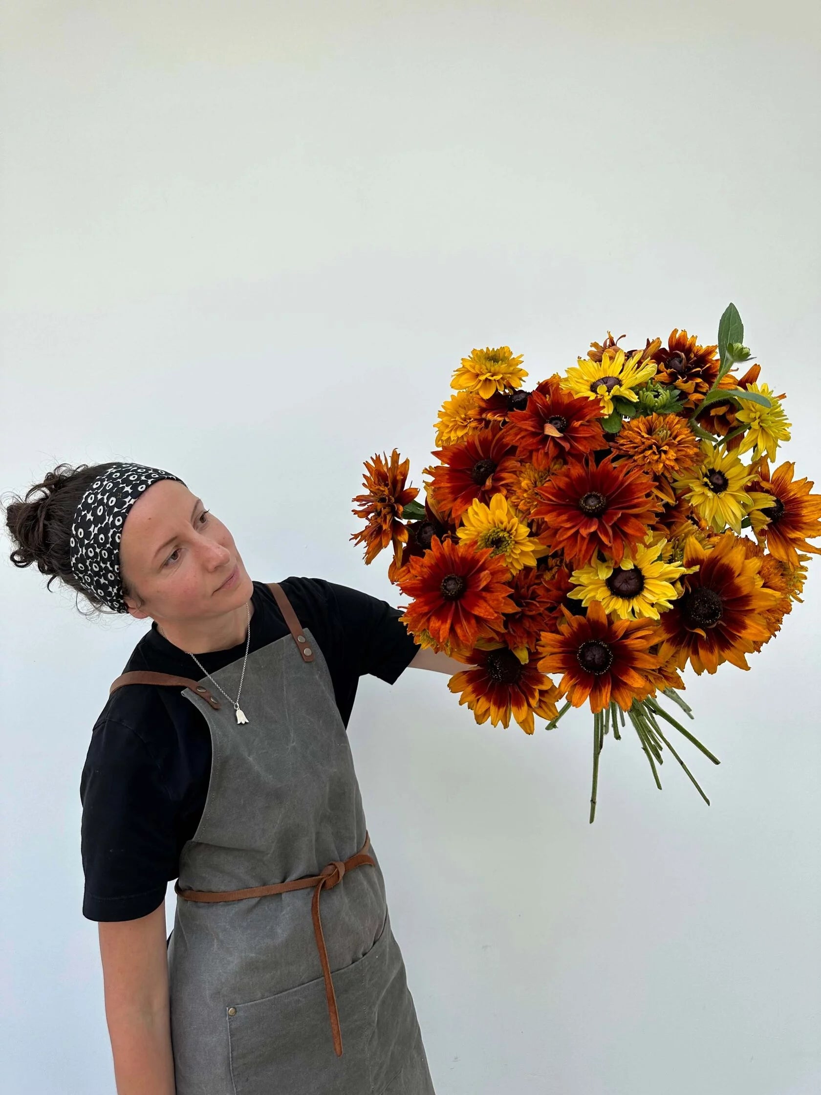 Rudbeckia Cherokee Sunset