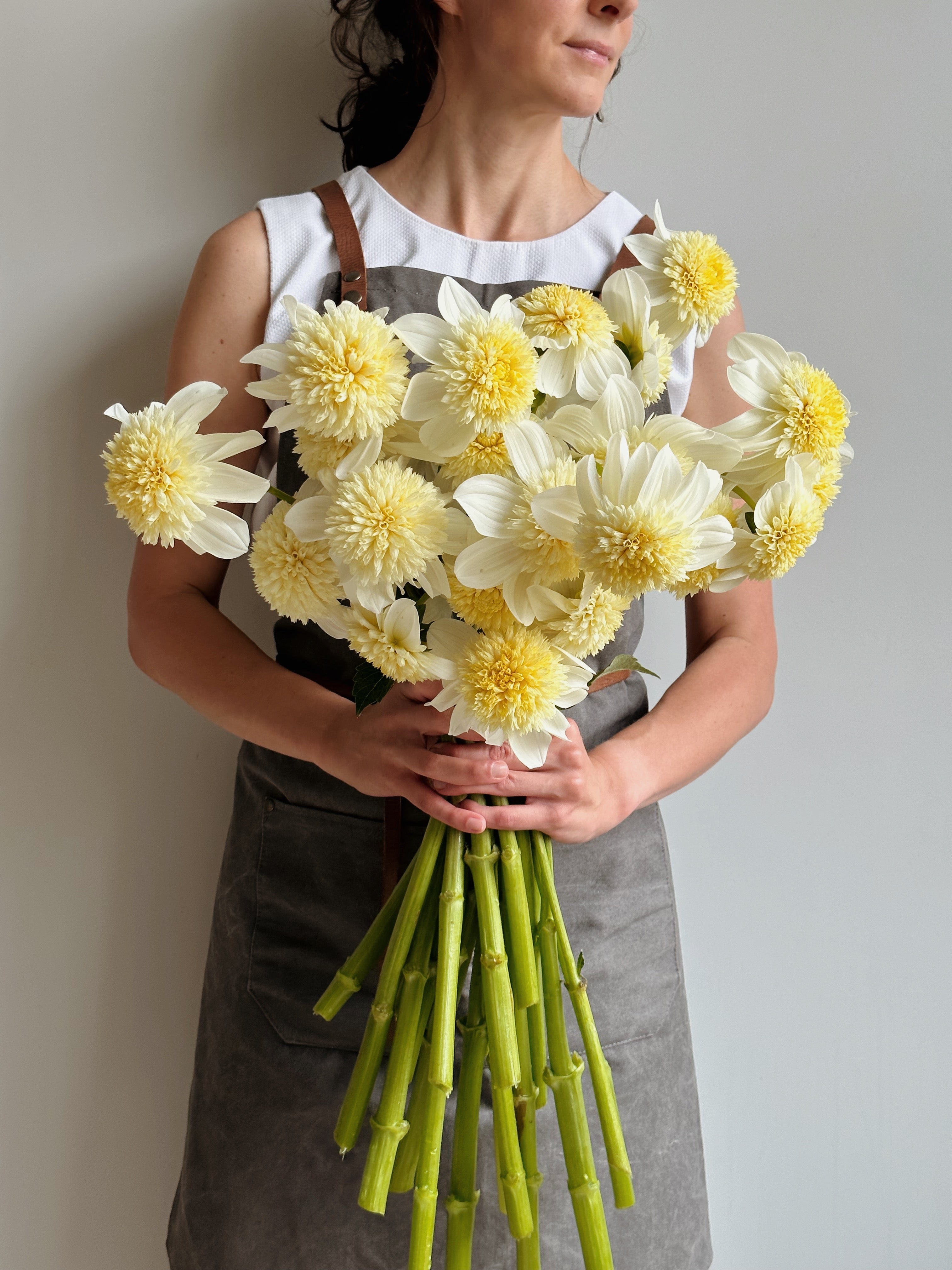 Dahlia Platinum Blond