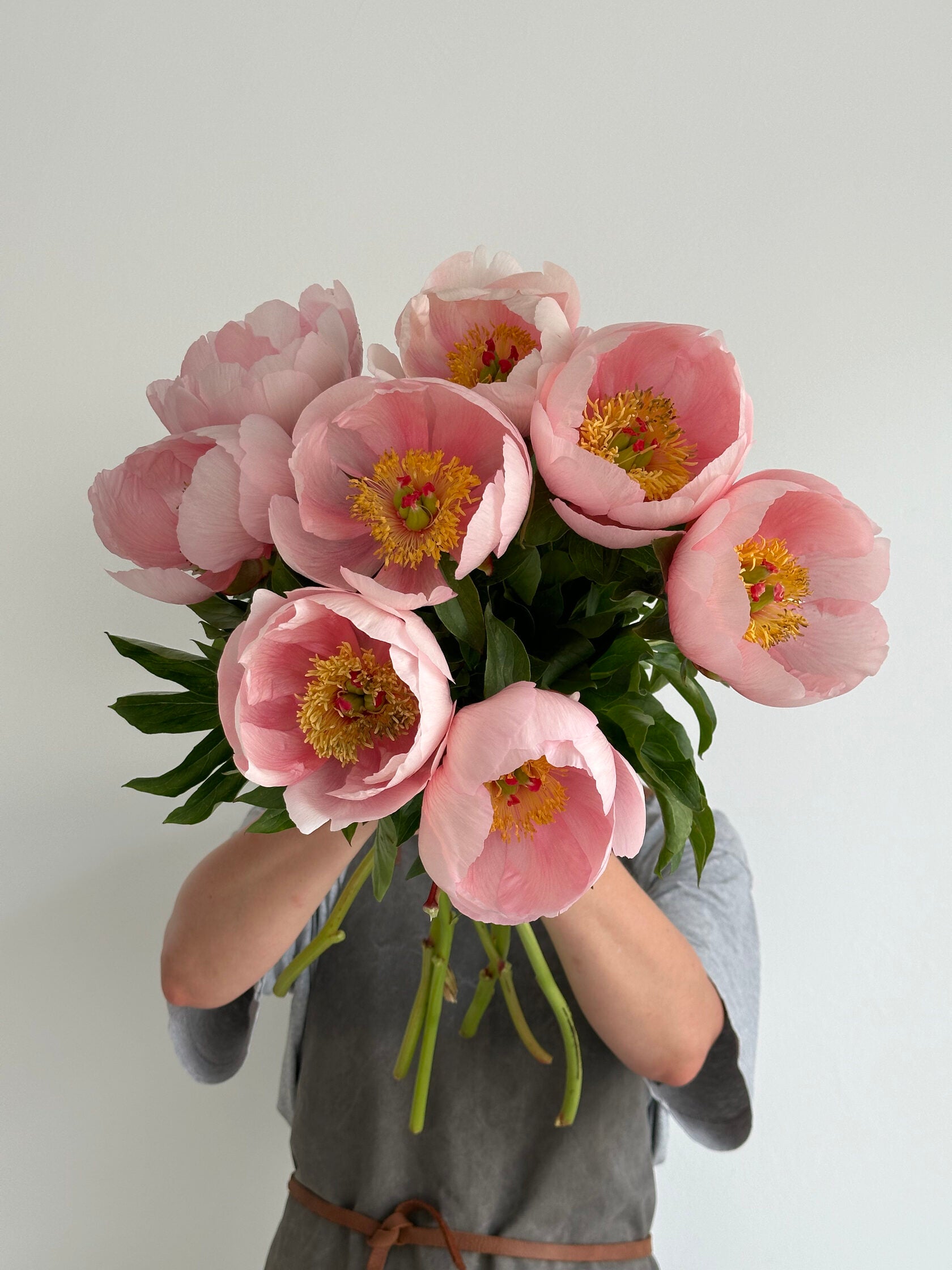 Peony Soft Salmon Saucer