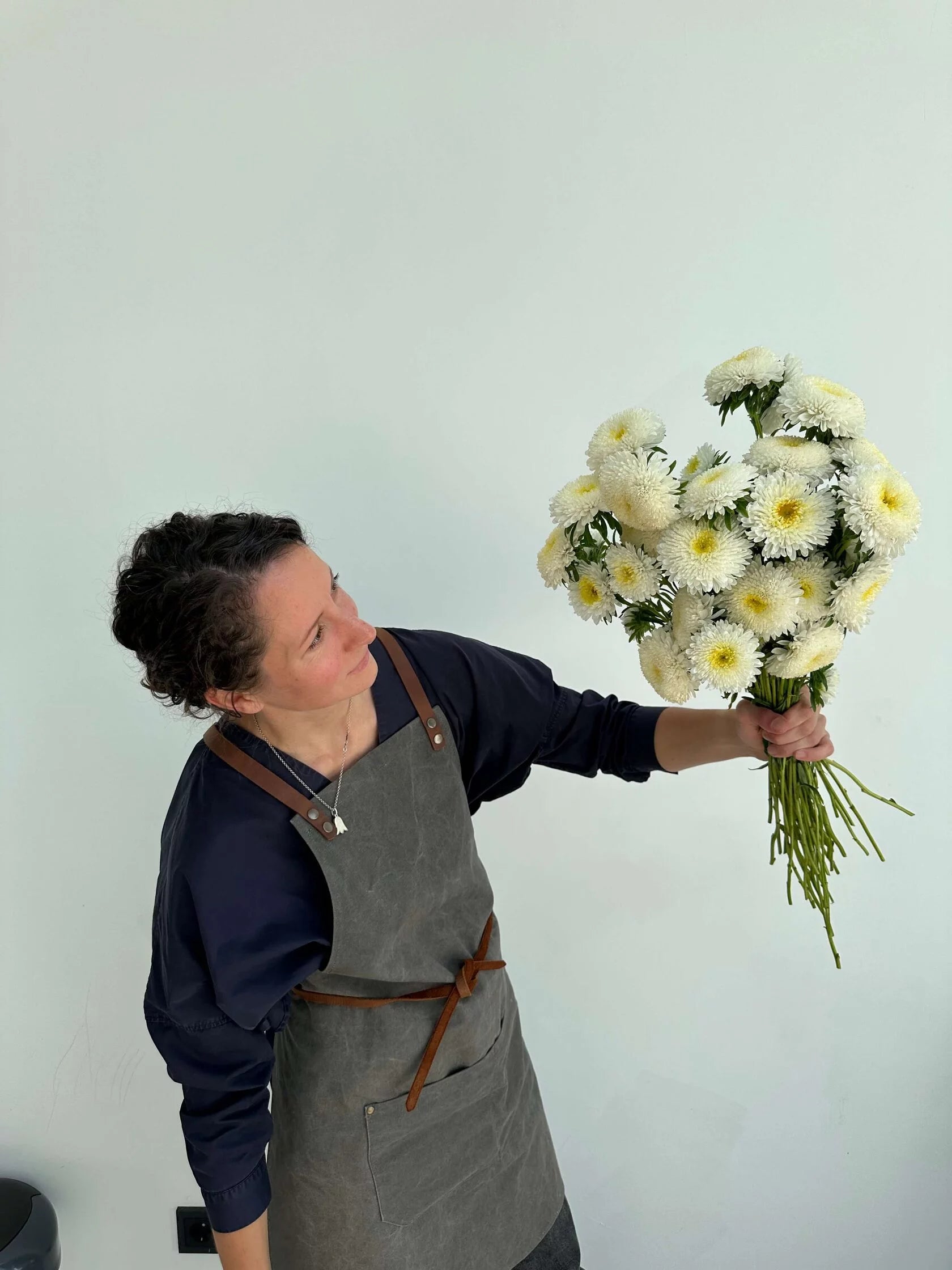 Aster Creamy White