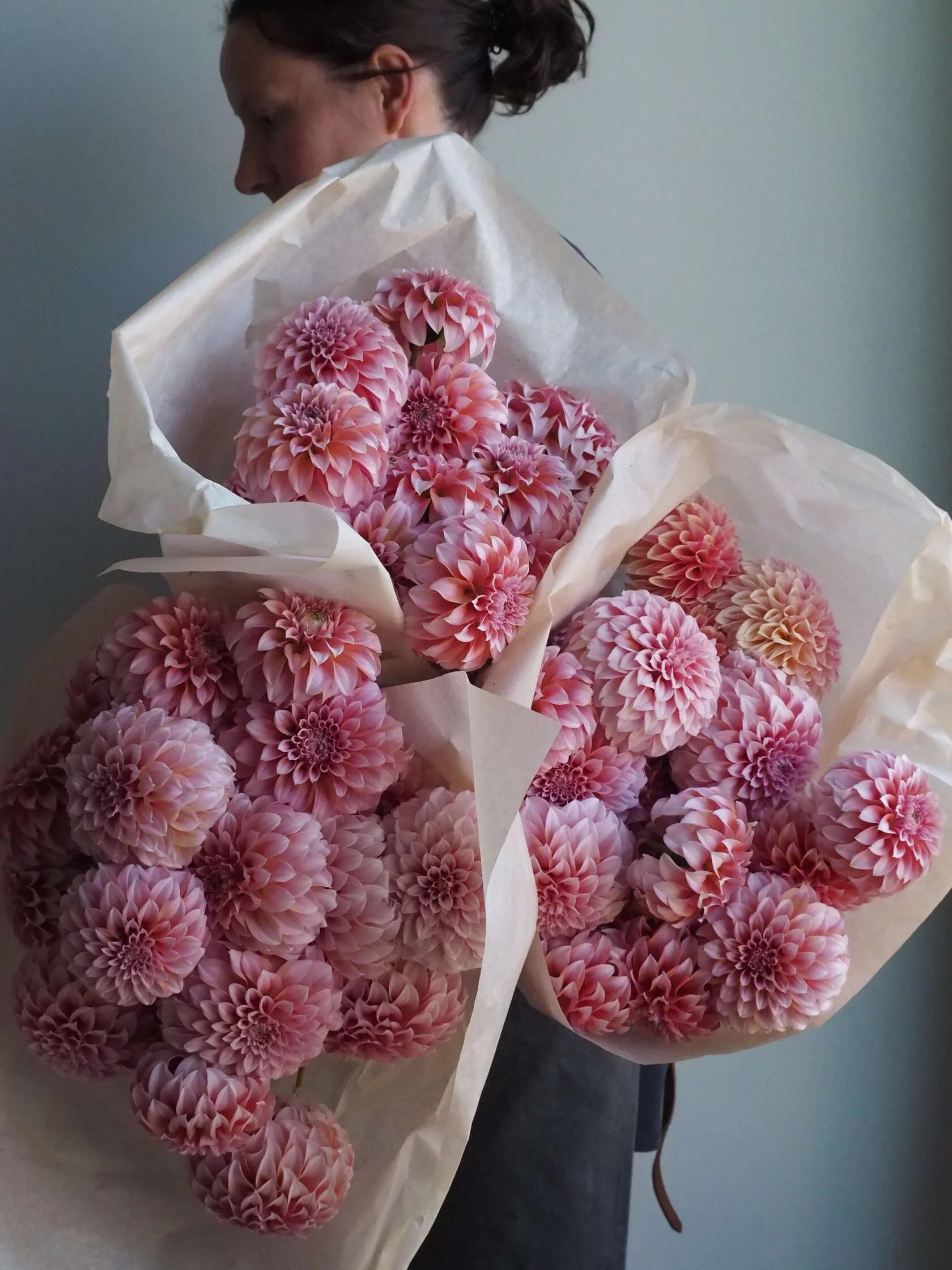 Dahlia Peaches /Fluffy flower