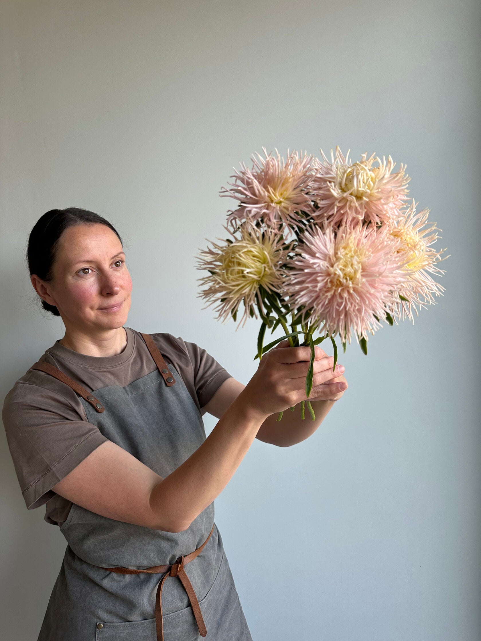 Aster Valkyrie Brunhilde Chamois