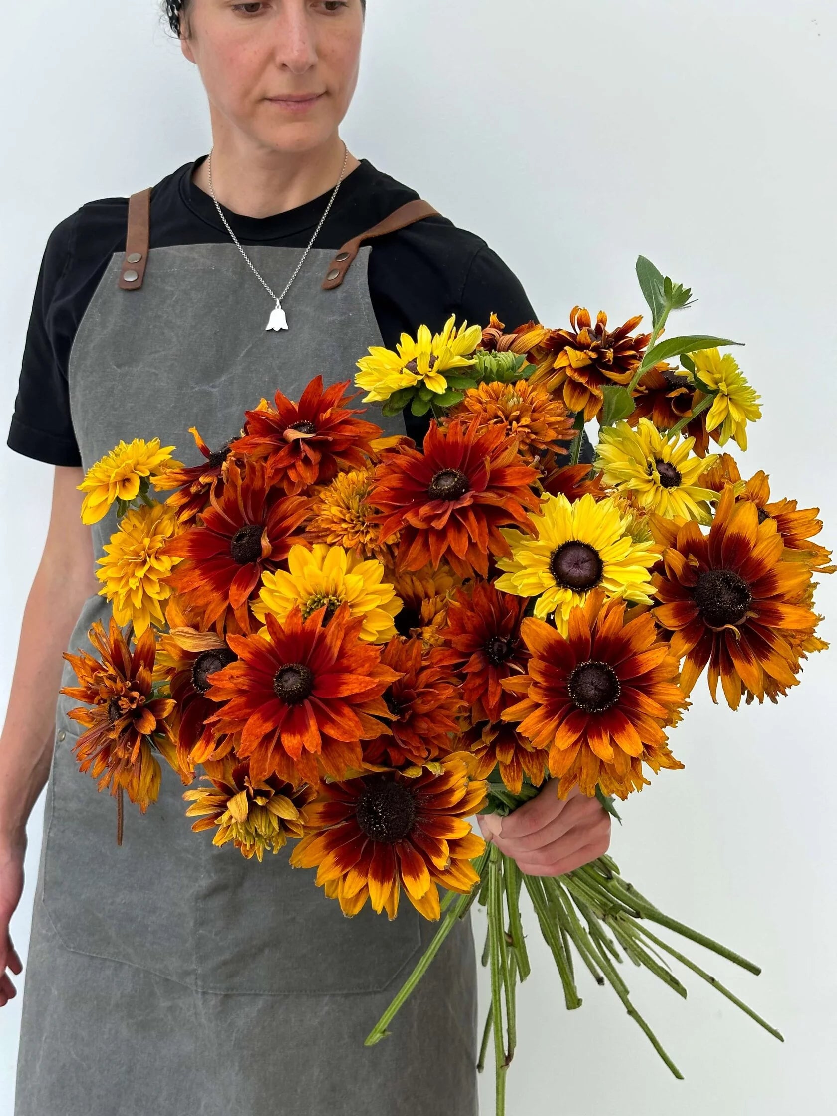 Rudbeckia Cherokee Sunset