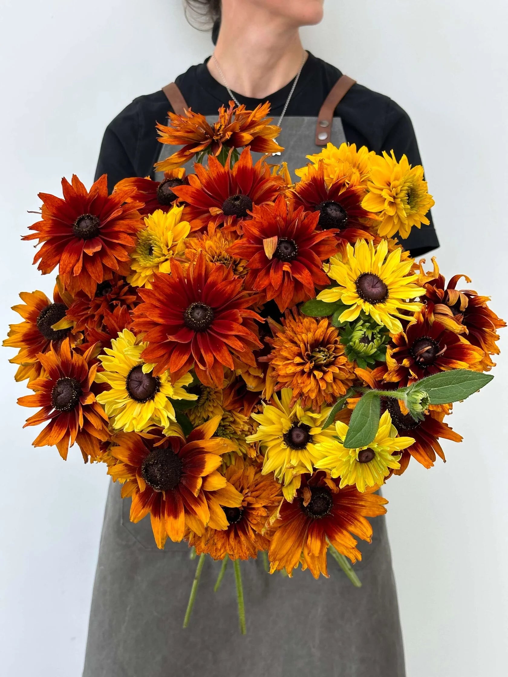 Rudbeckia Cherokee Sunset