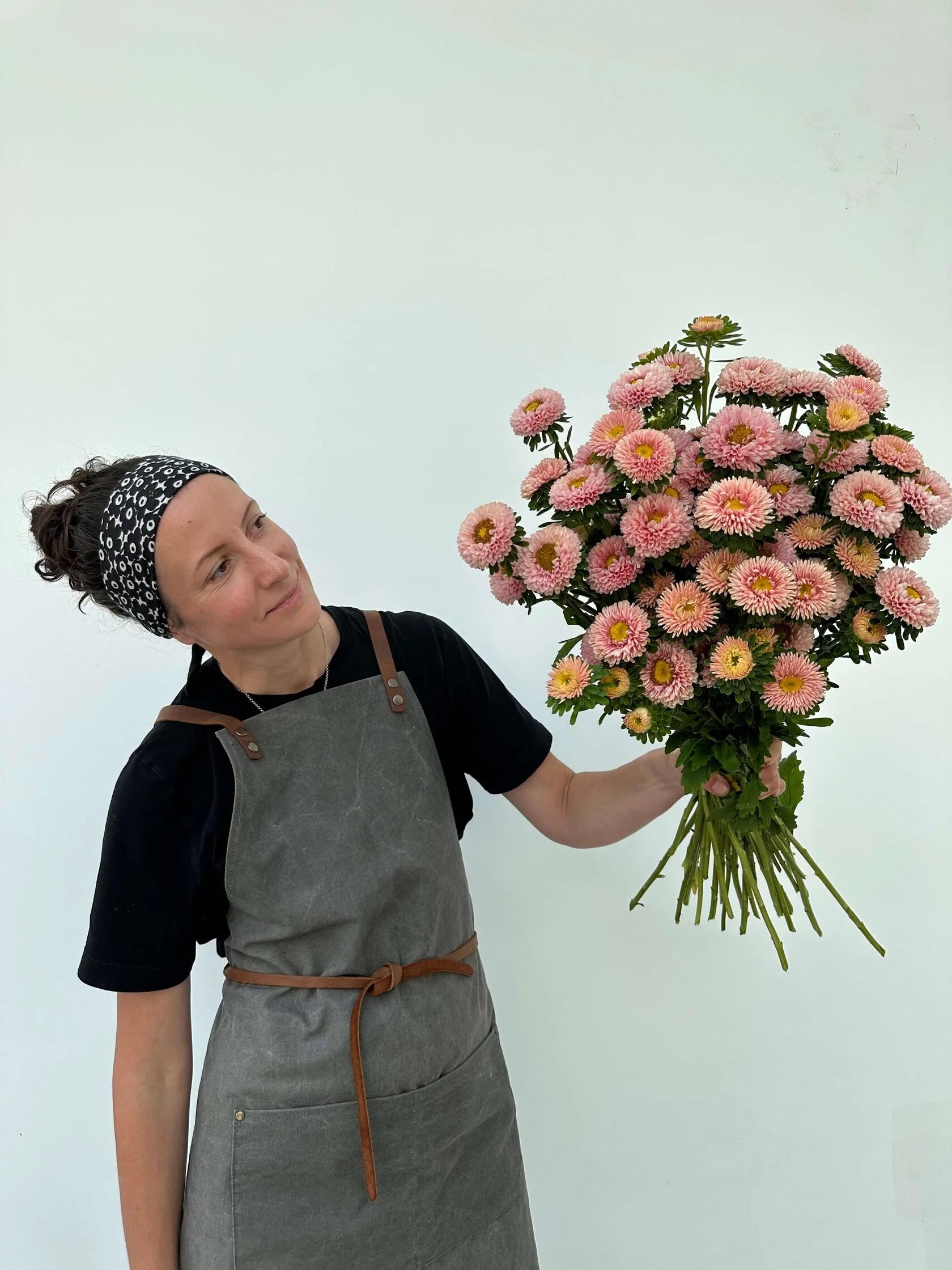 Aster Matsumoto Apricot