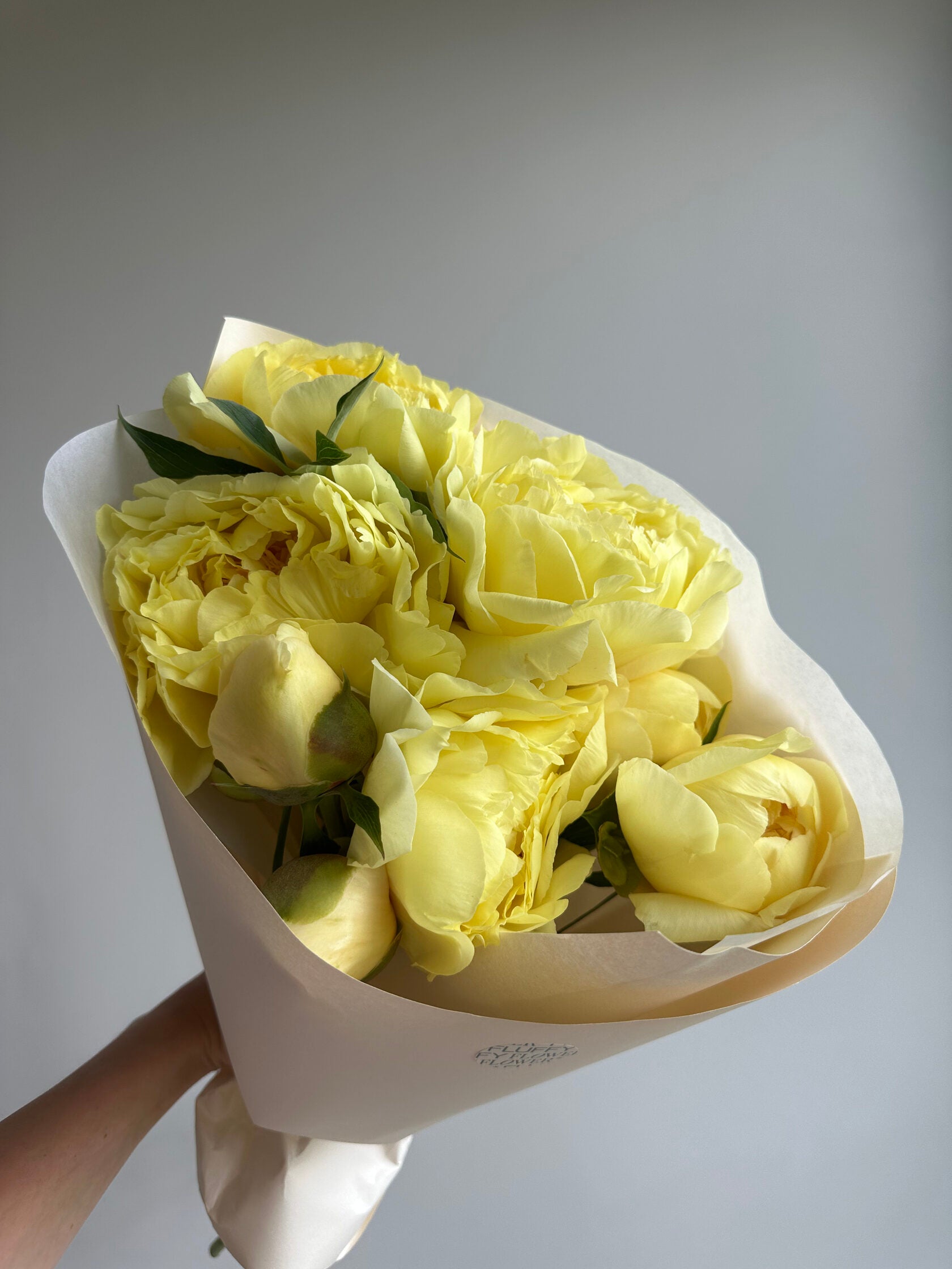 Peony Bartzella