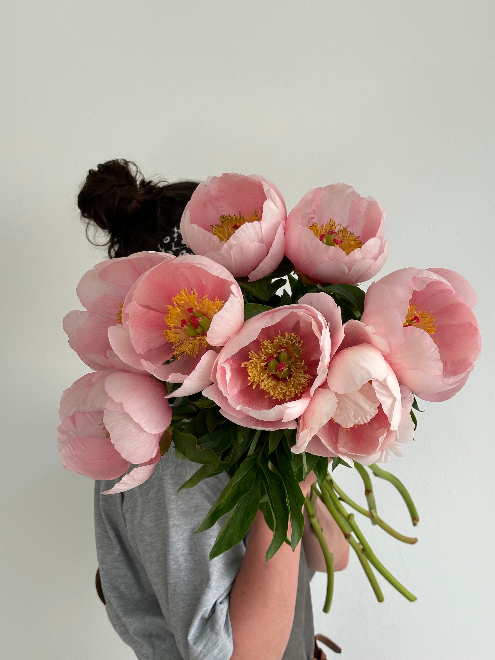 Peony Soft salmon saucer