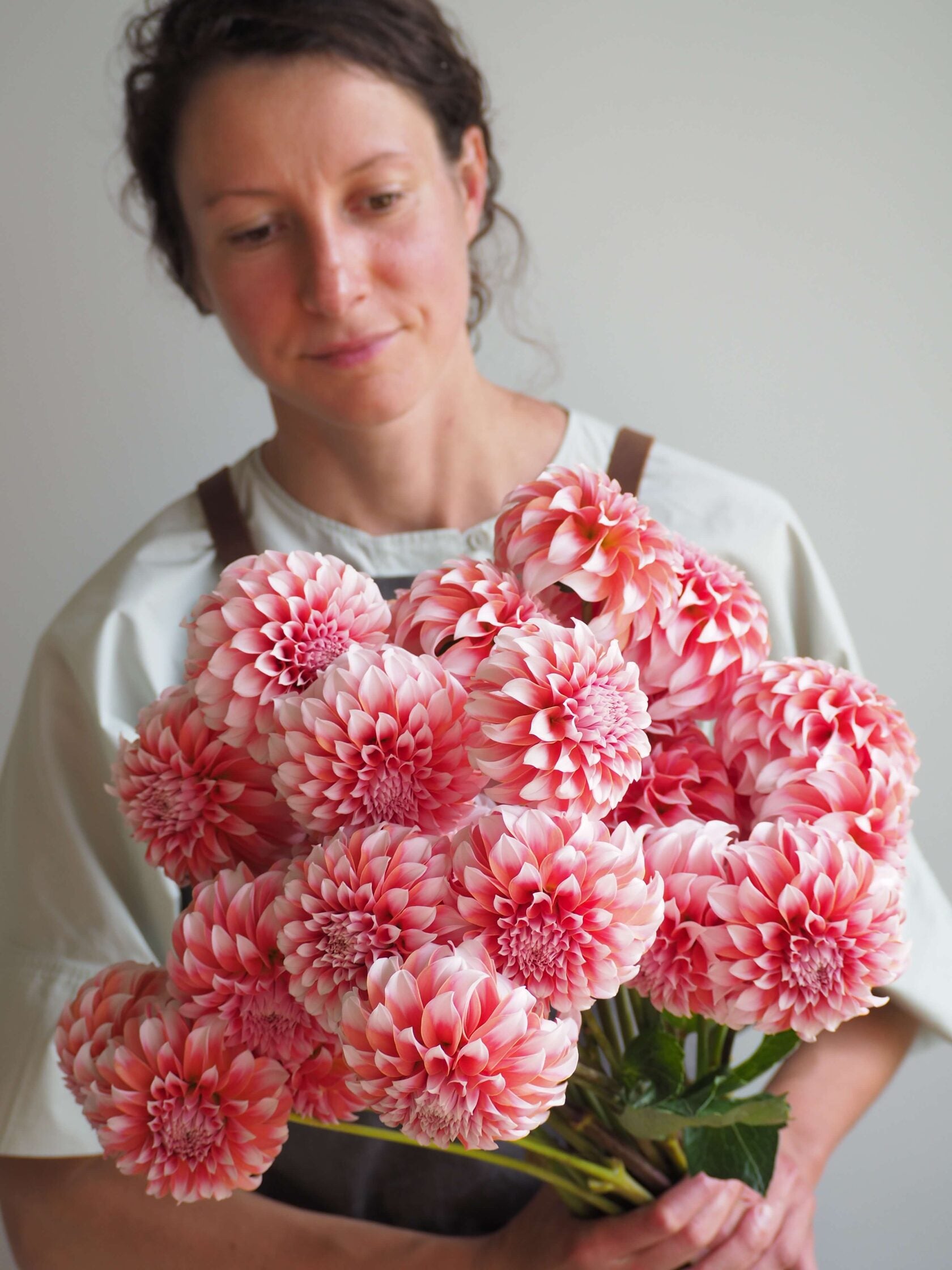 Dahlia Peaches /Fluffy flower