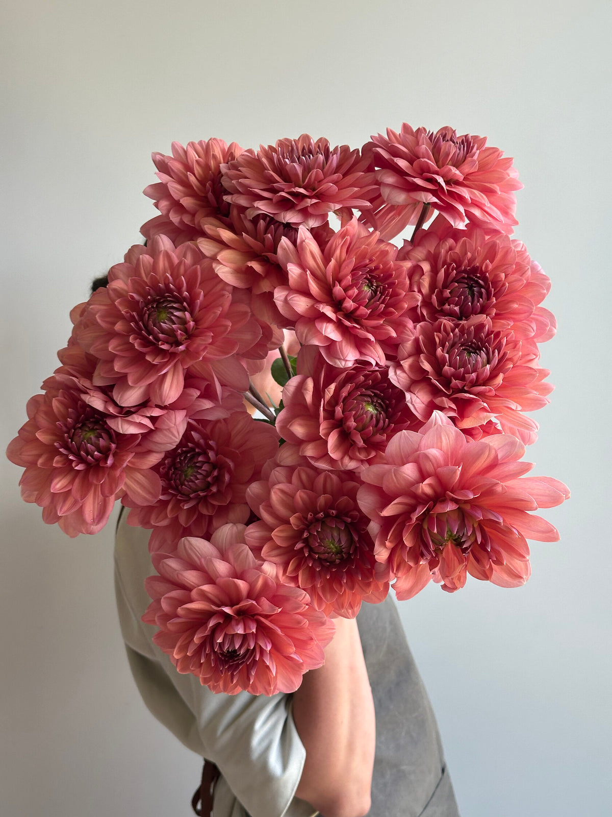 Dahlia Chateau de la Bourdaisiere_FluffyFlower