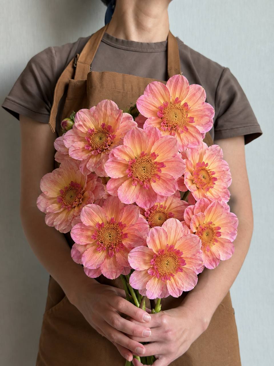 Dahlia Campus Nature Metier