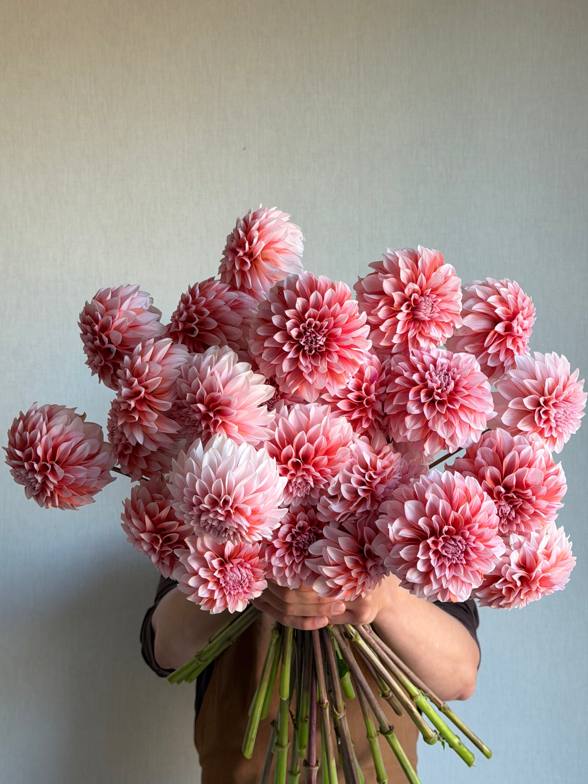 Dahlia RM Baby Girl - FluffyFlower