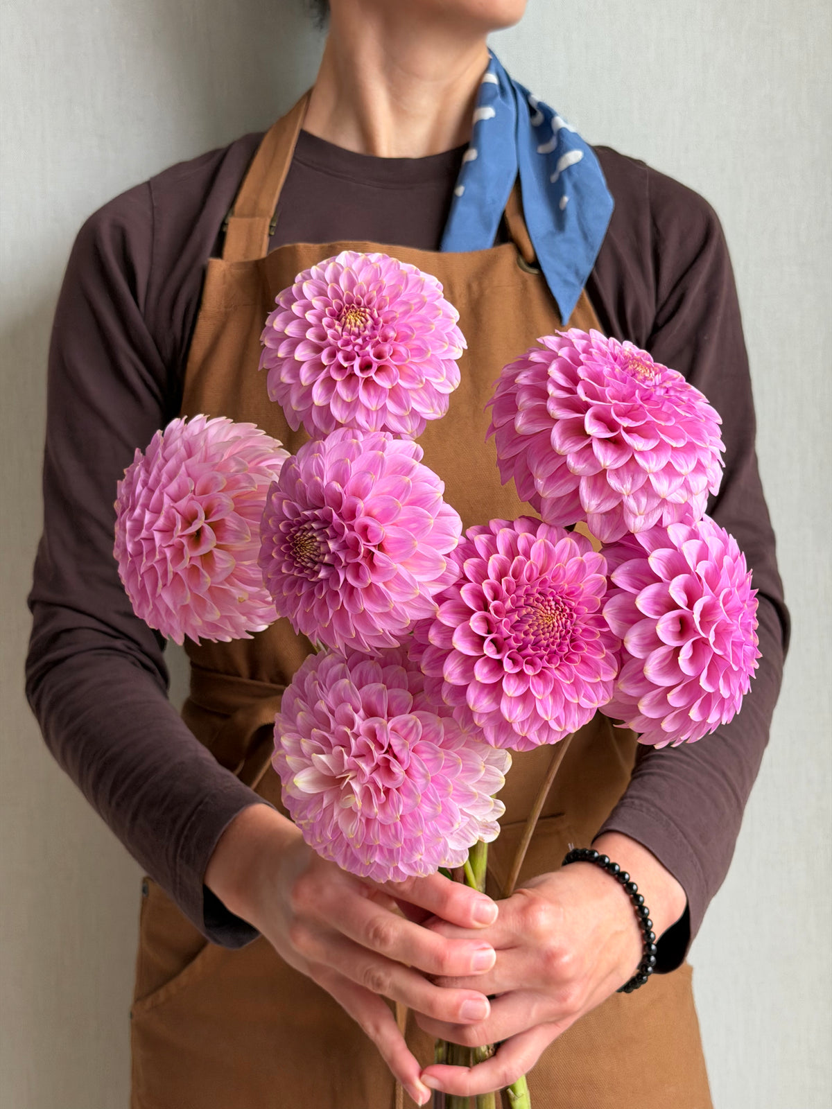Dahlia Florelie Oracle-FluffyFlower