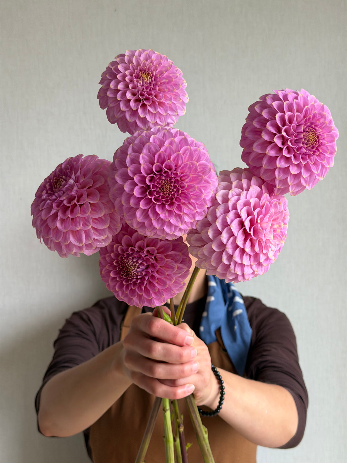 Dahlia Florelie Oracle-FluffyFlower