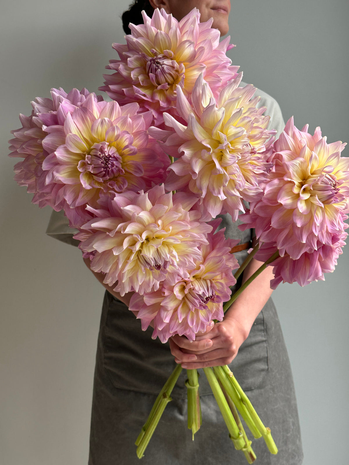 Dahlia KIdd's Climax - FluffyFlower