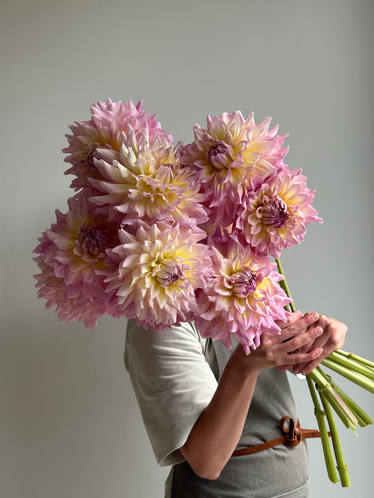 Dahlia KIdd's Climax - FluffyFlower