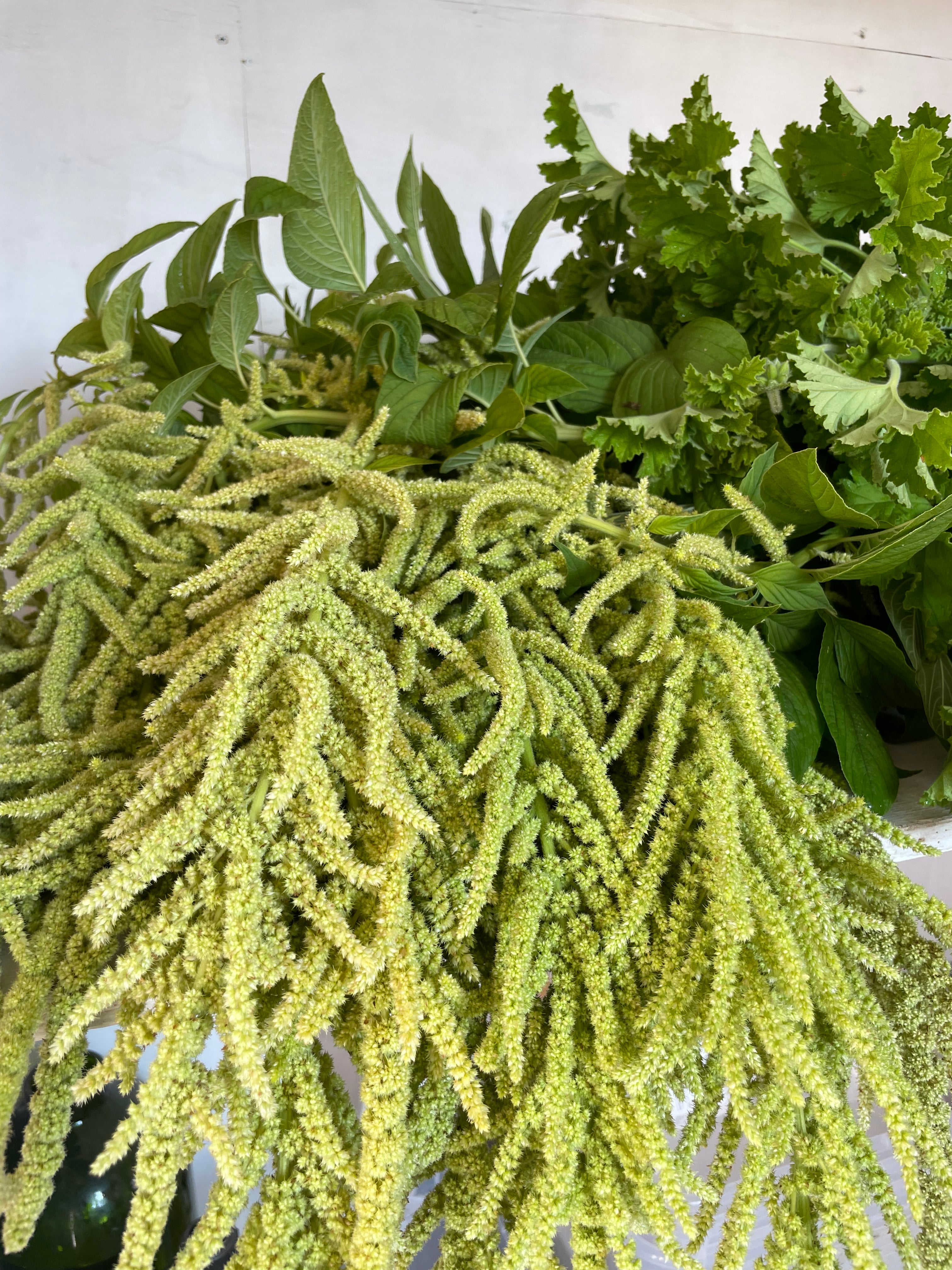 Amaranth Emerald Tassels