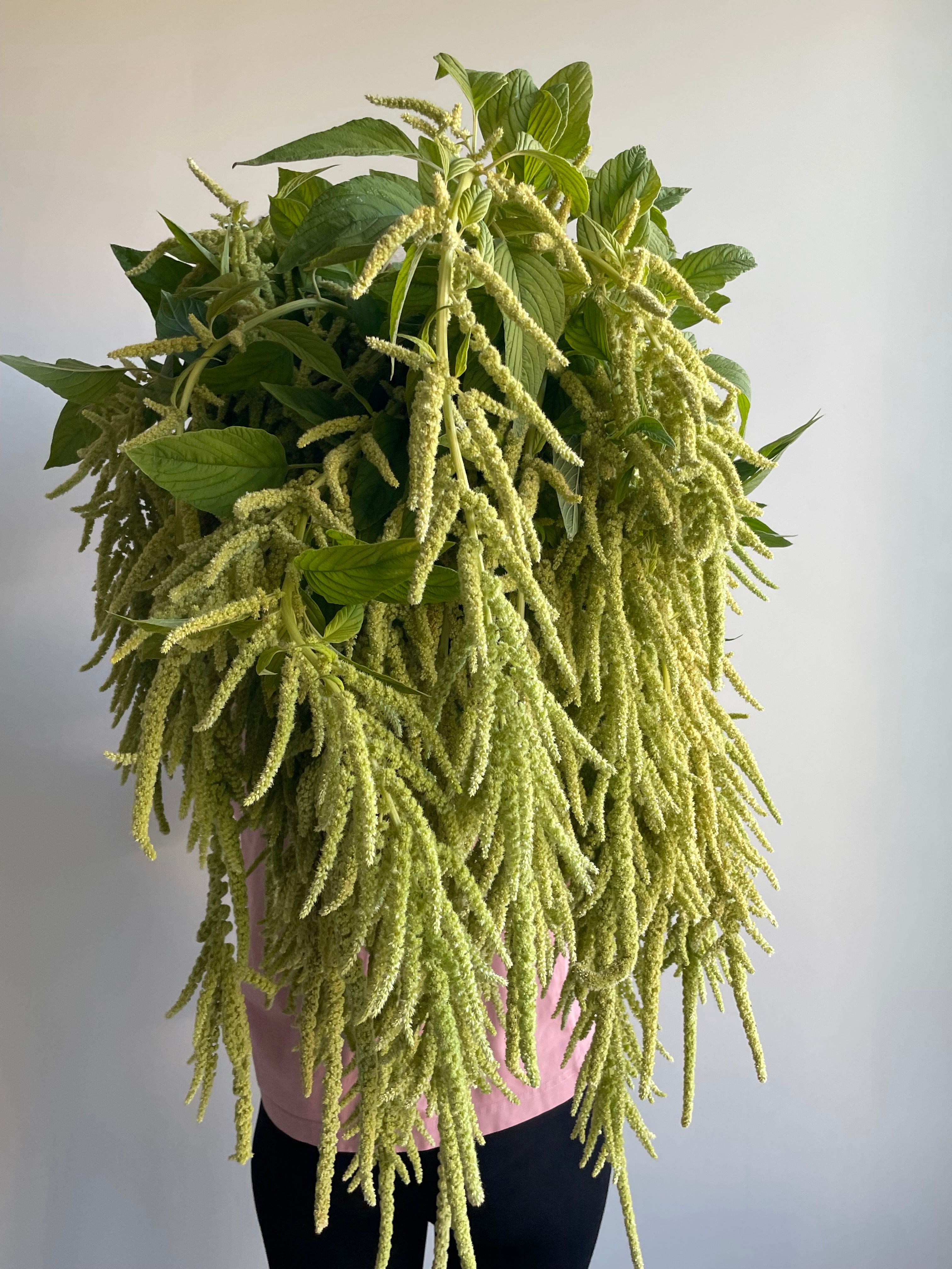 Amaranth Emerald Tassels