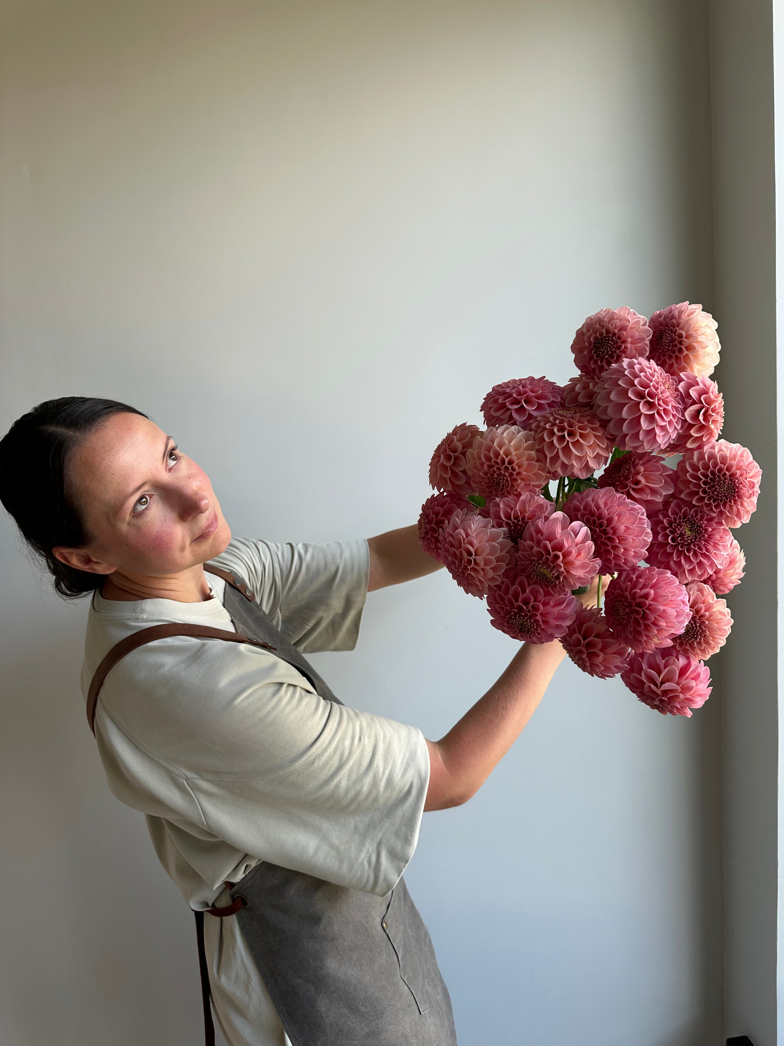 Dahlia Rock Run Ashley