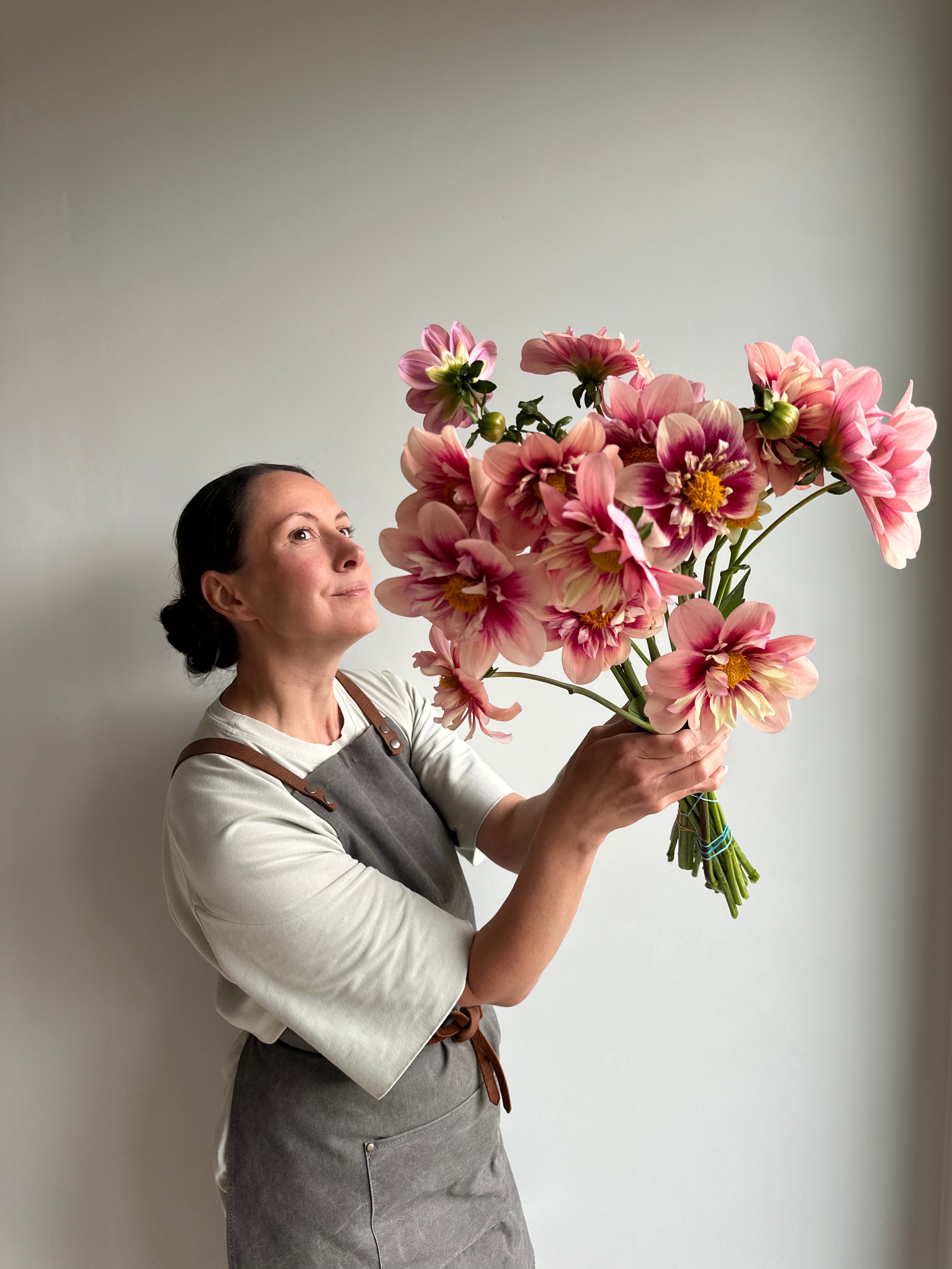 Dahlia Rhubarb and Custard