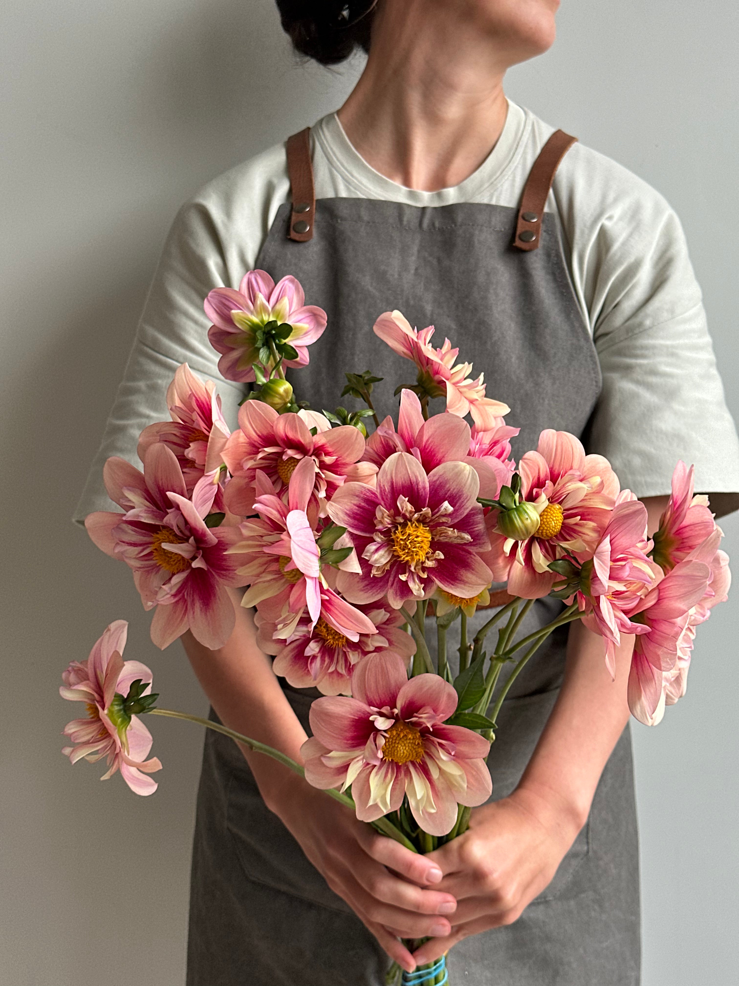 Dahlia Rhubarb and Custard