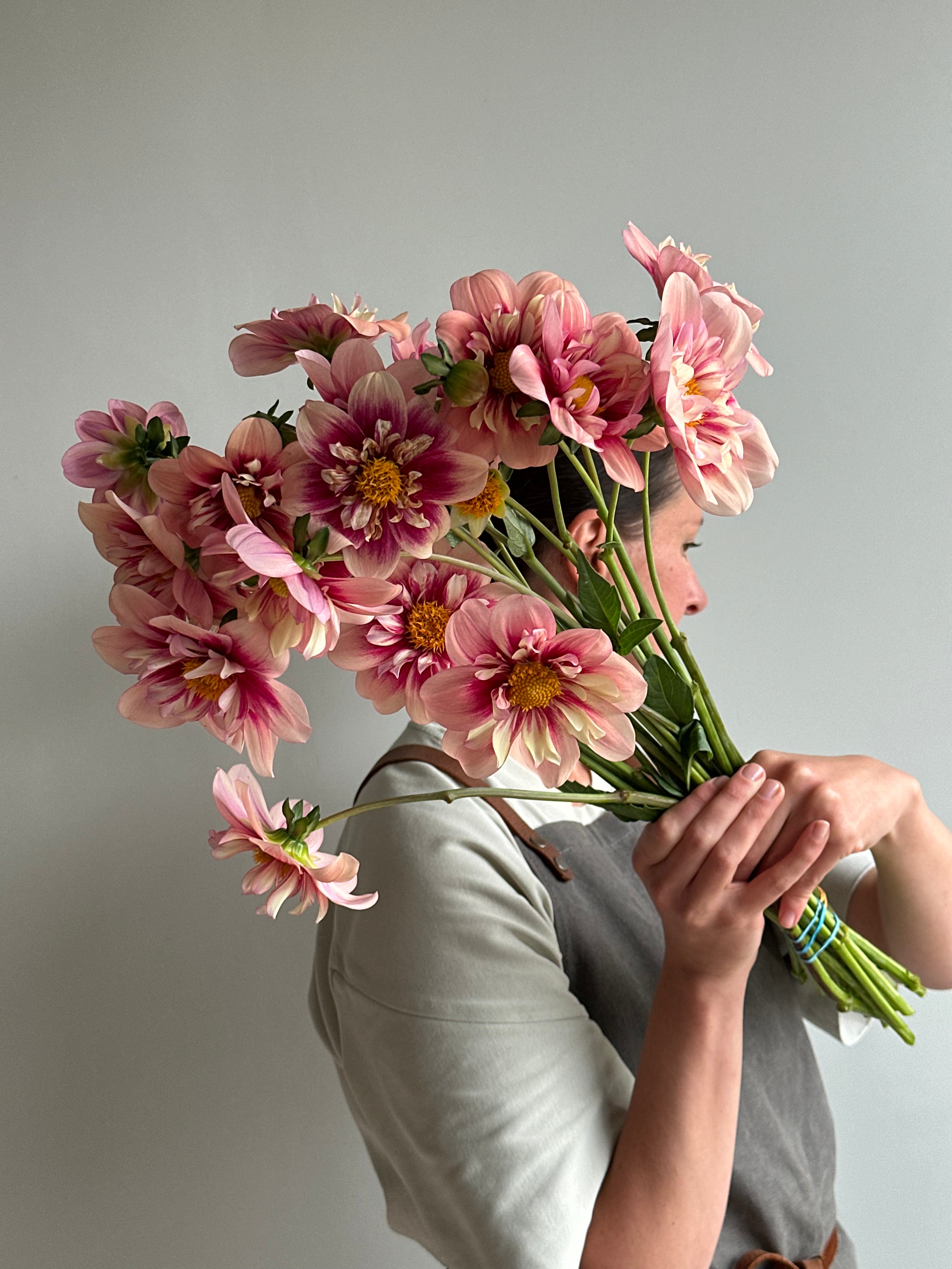 Dahlia Rhubarb and Custard