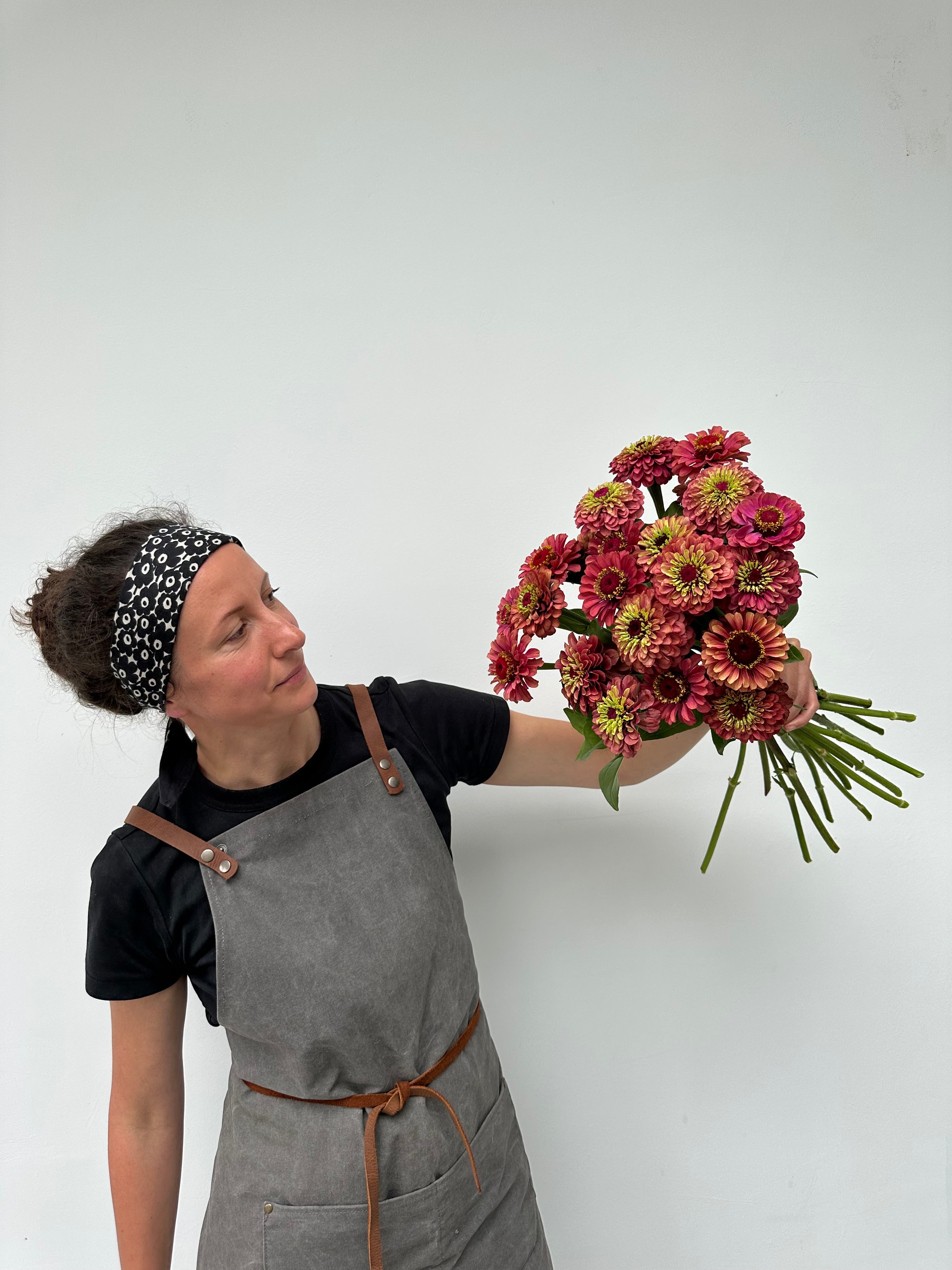 Zinnia Queen Red Lime