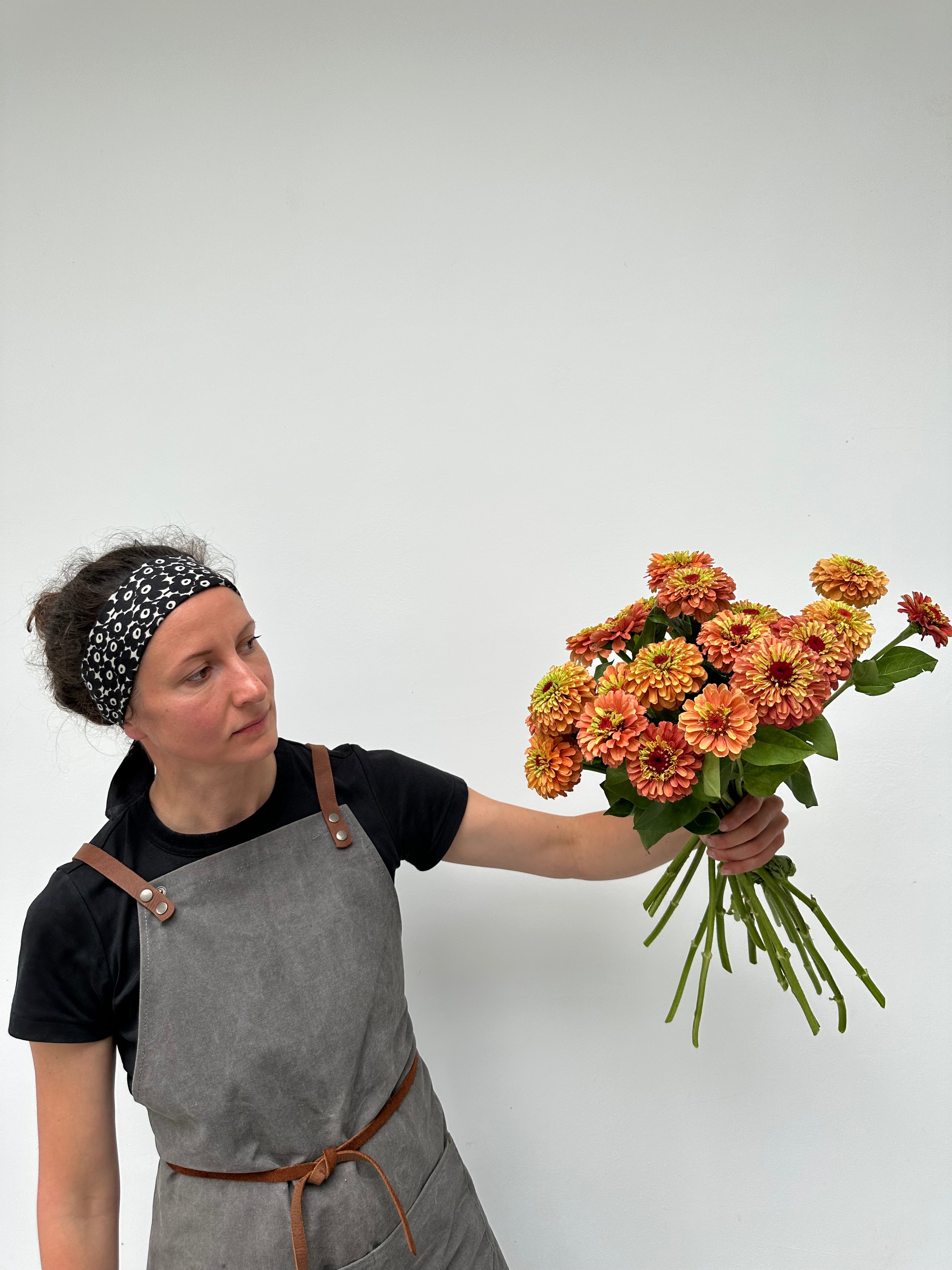 Zinnia Queen Lime Orange