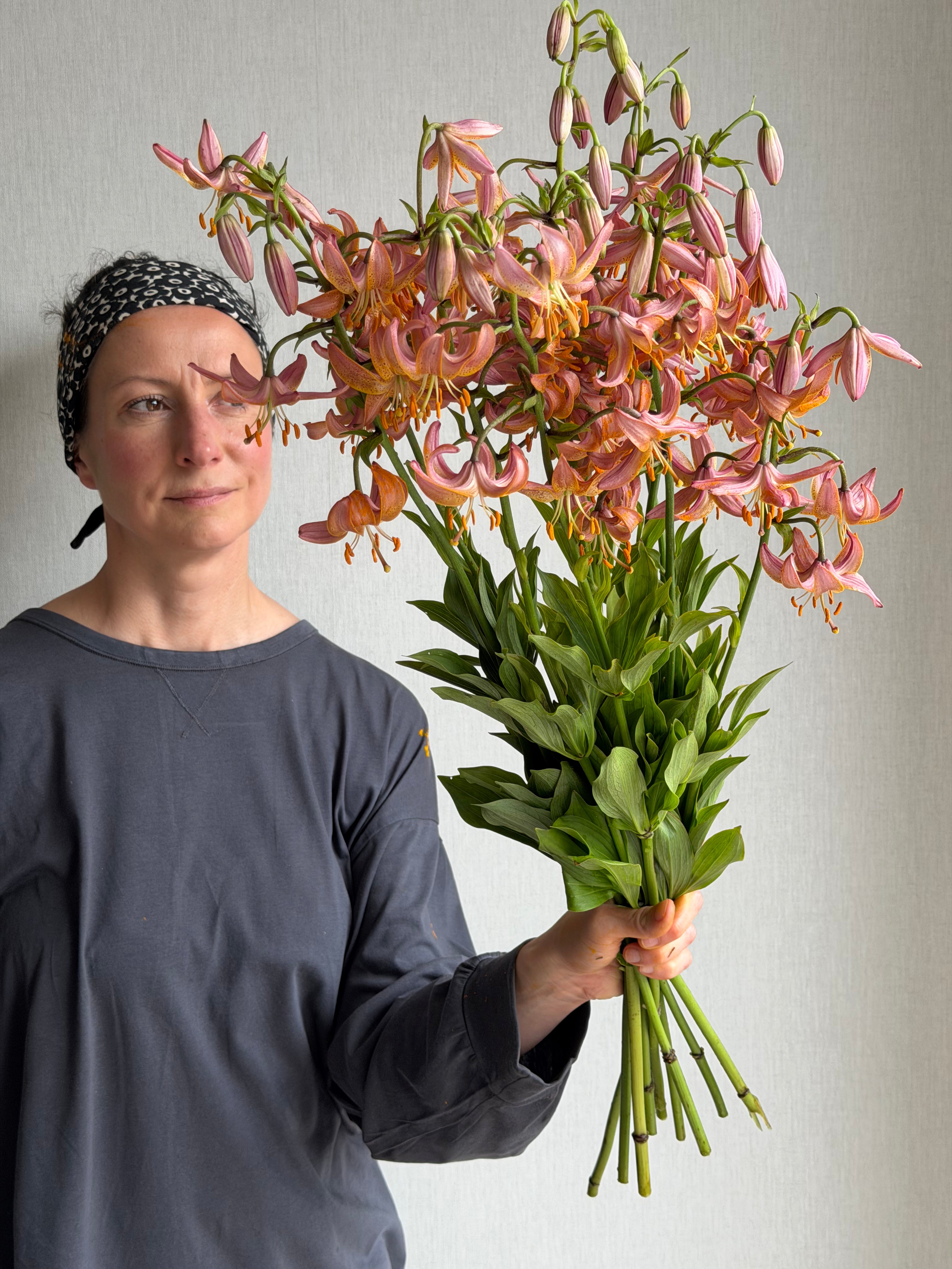 Martagon Lily Fairy Morning