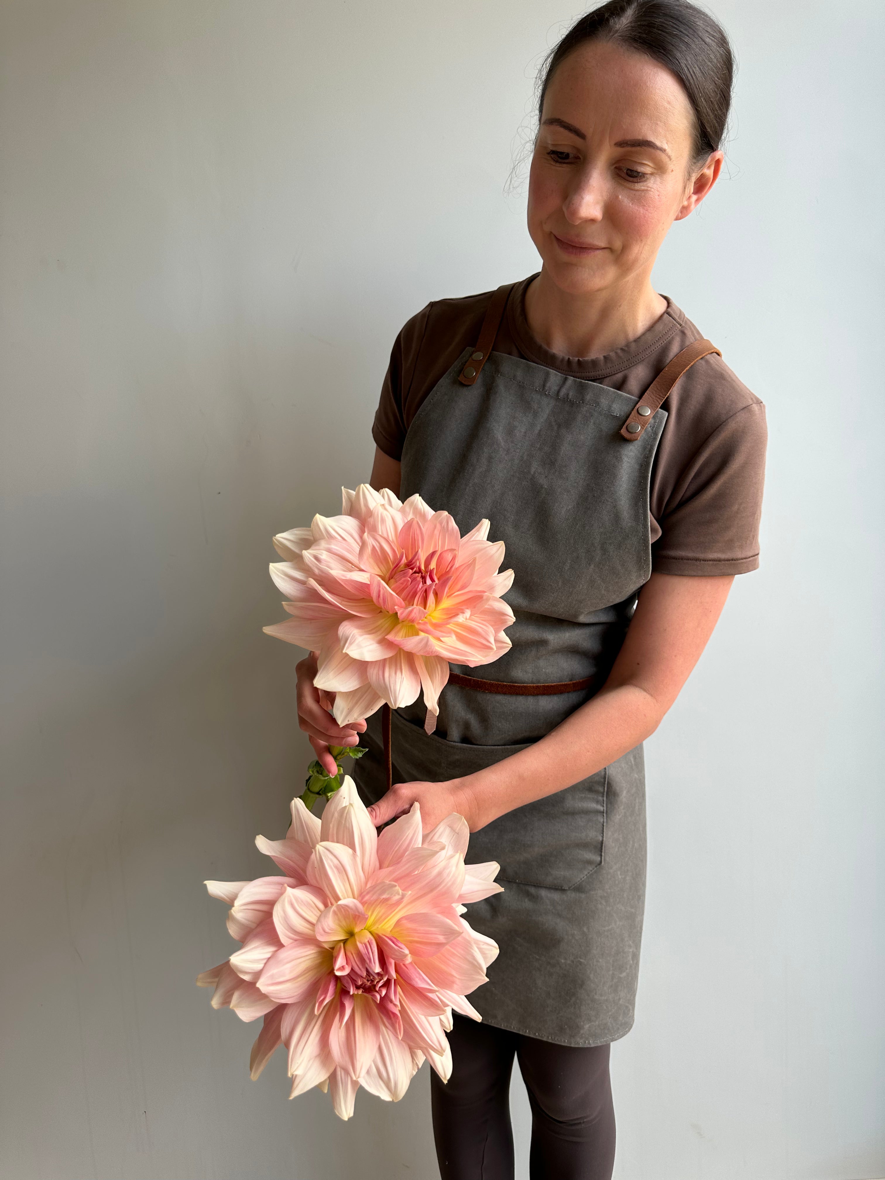 Dahlia Fairway Pilot