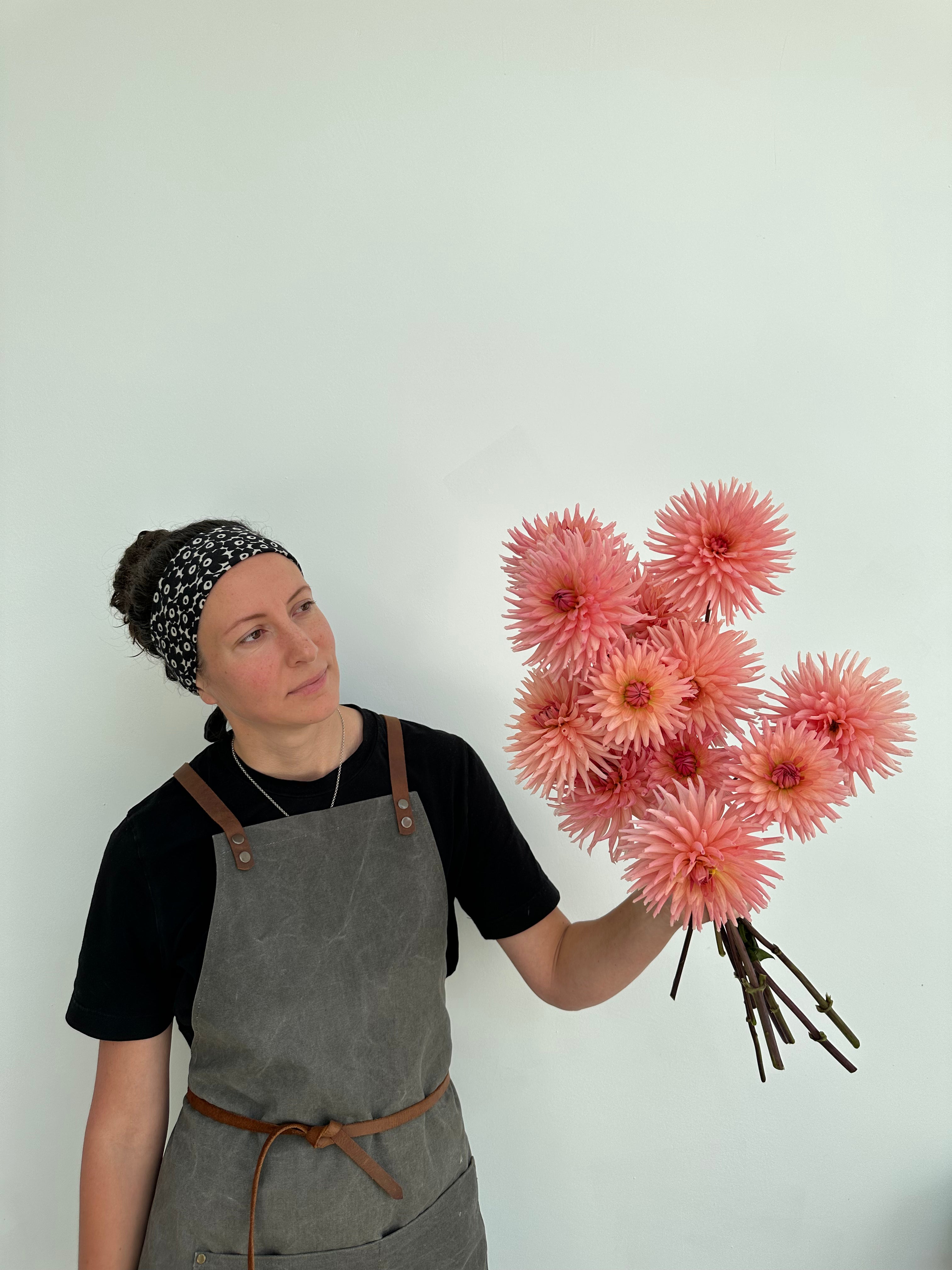 Dahlia Henriette
