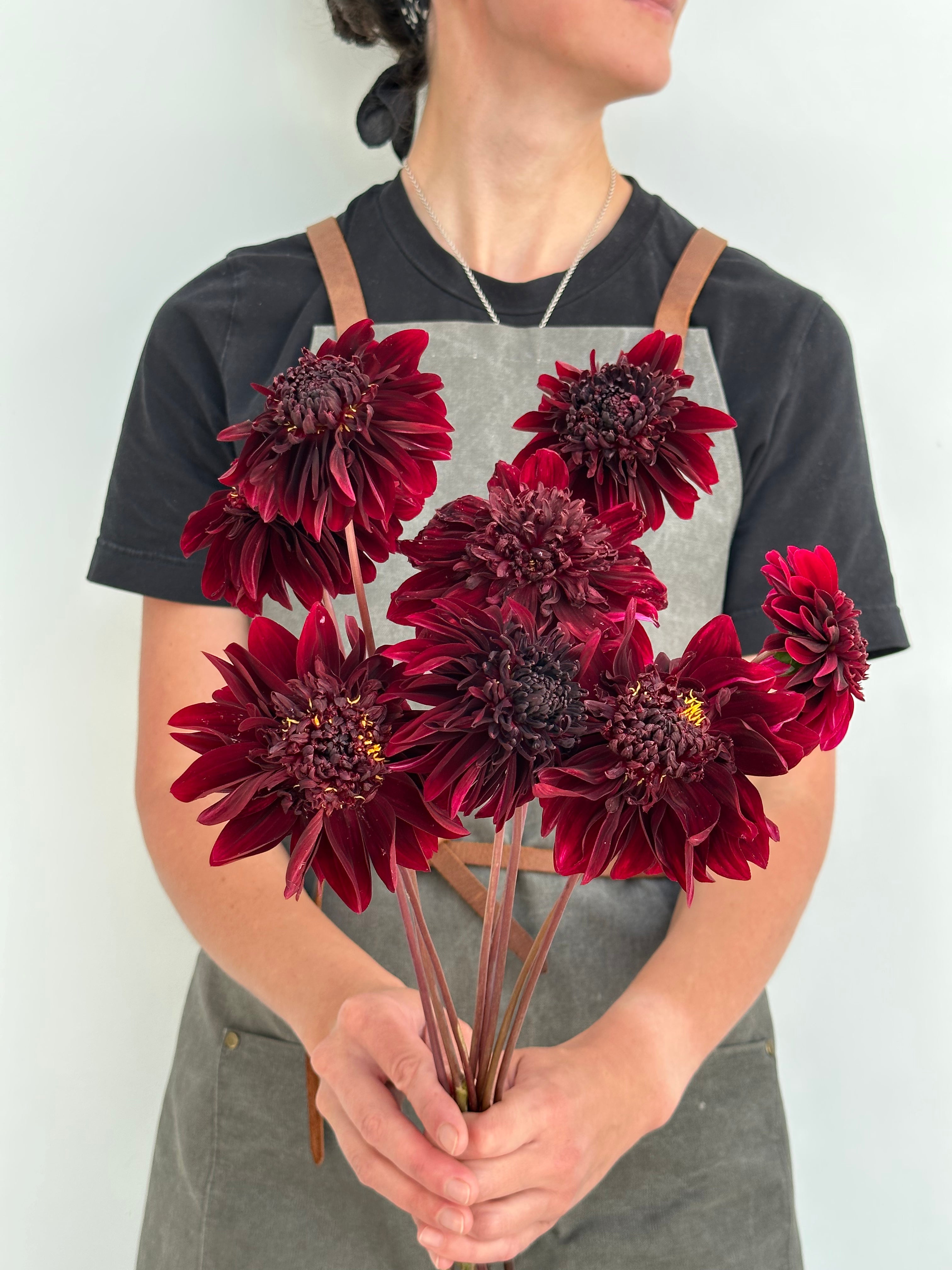 Dahlia Soulman