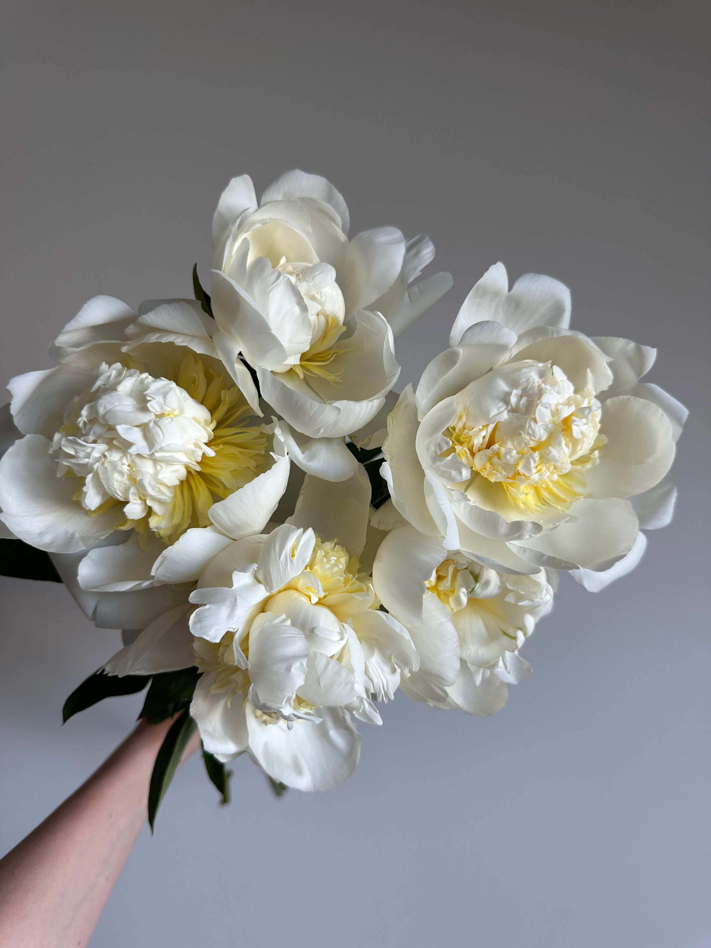 Peony Bridal Shower