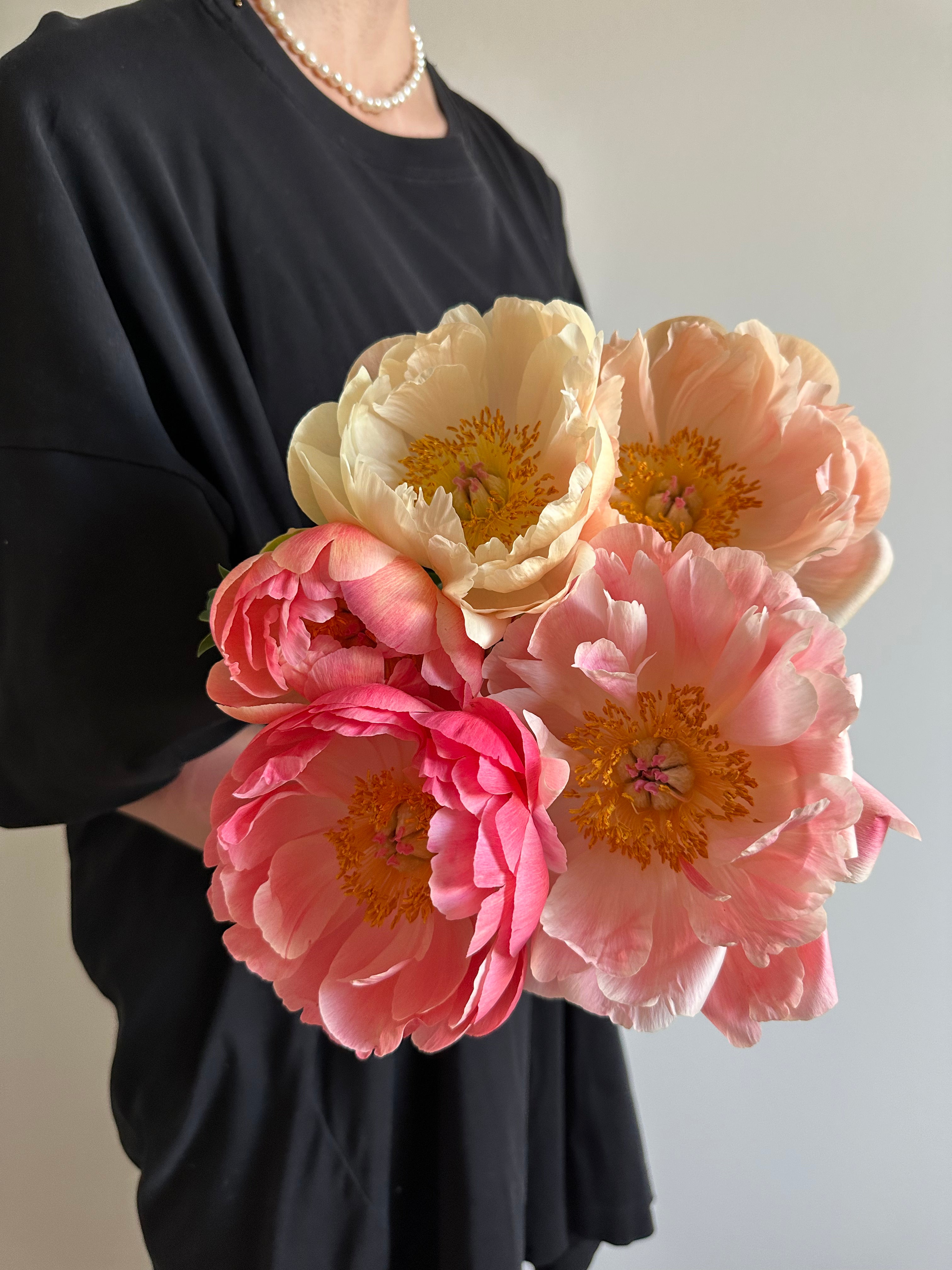 Peony King's Day