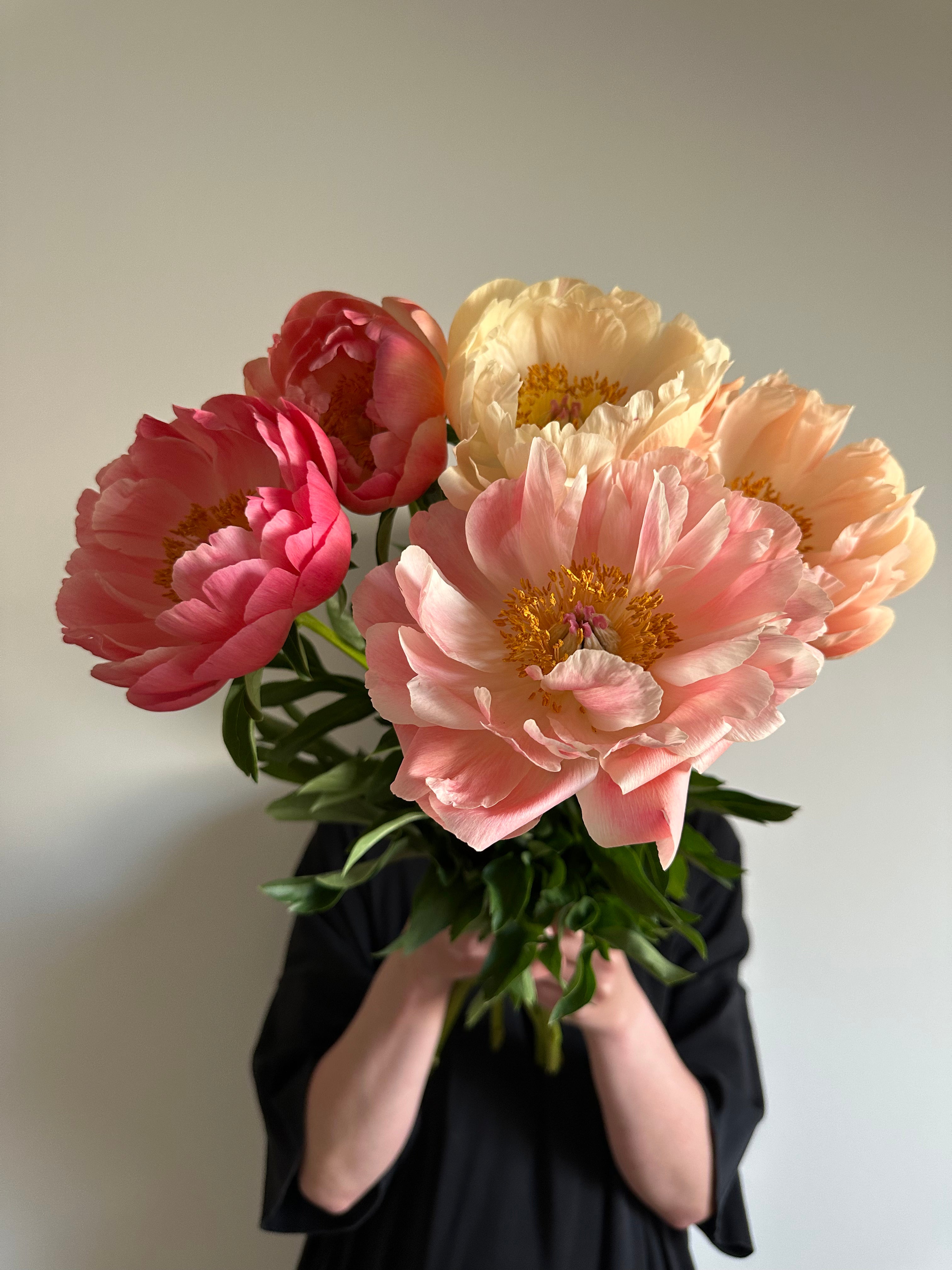 Peony King's Day