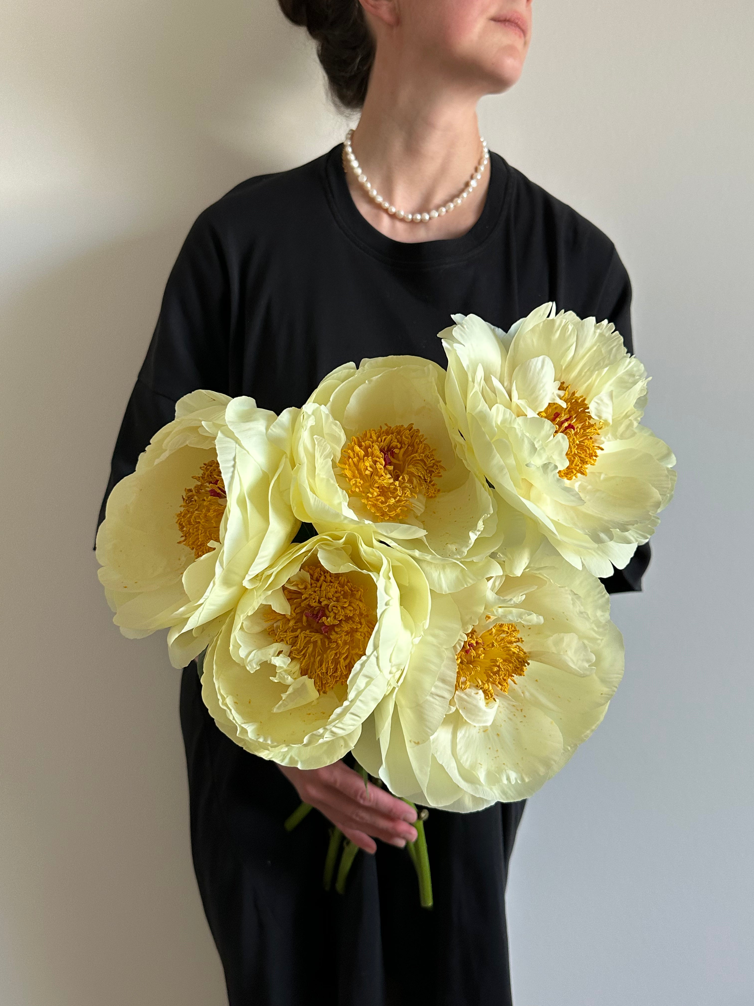 Peony Lemon Chiffon