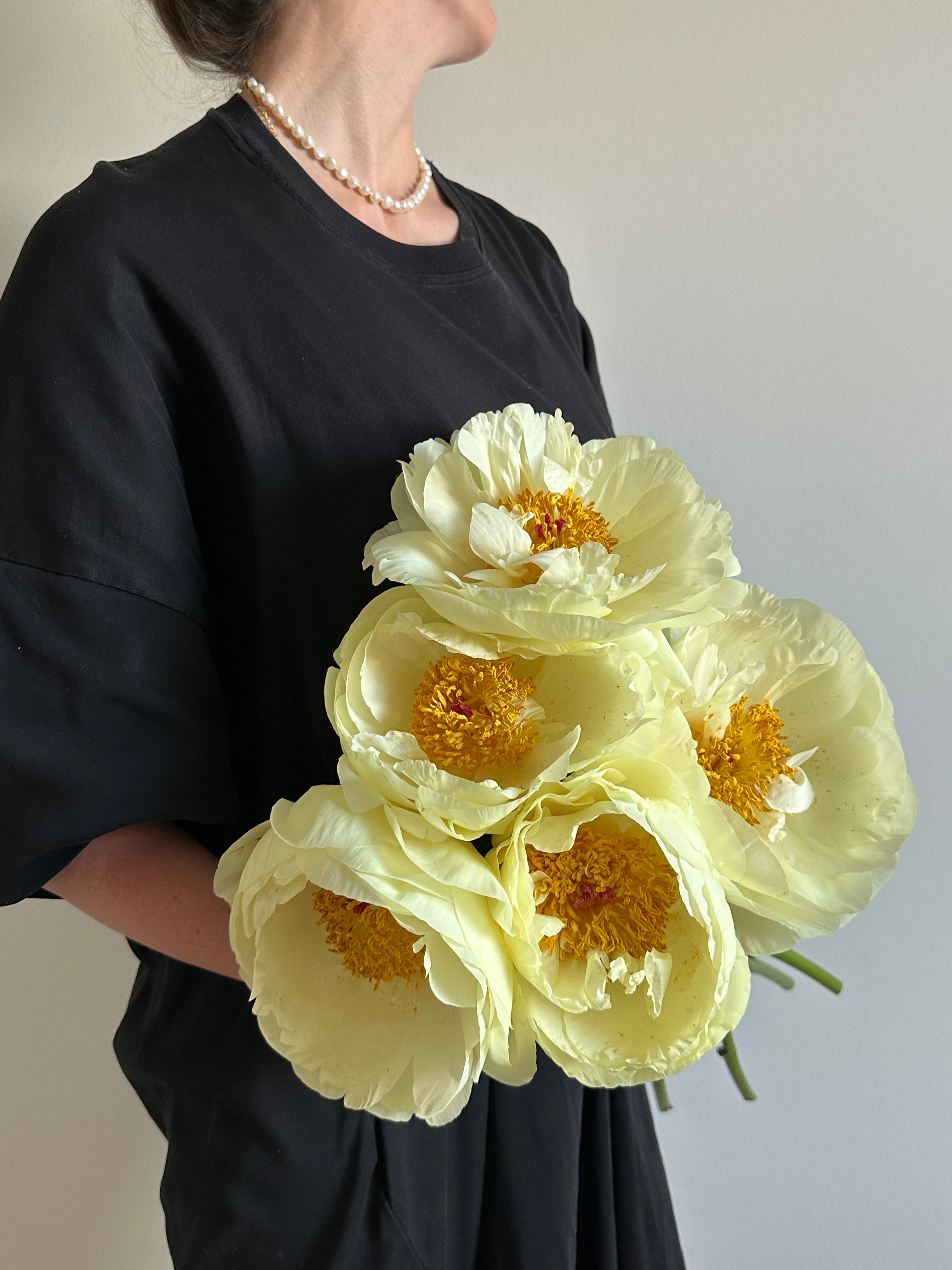 Peony Lemon Chiffon