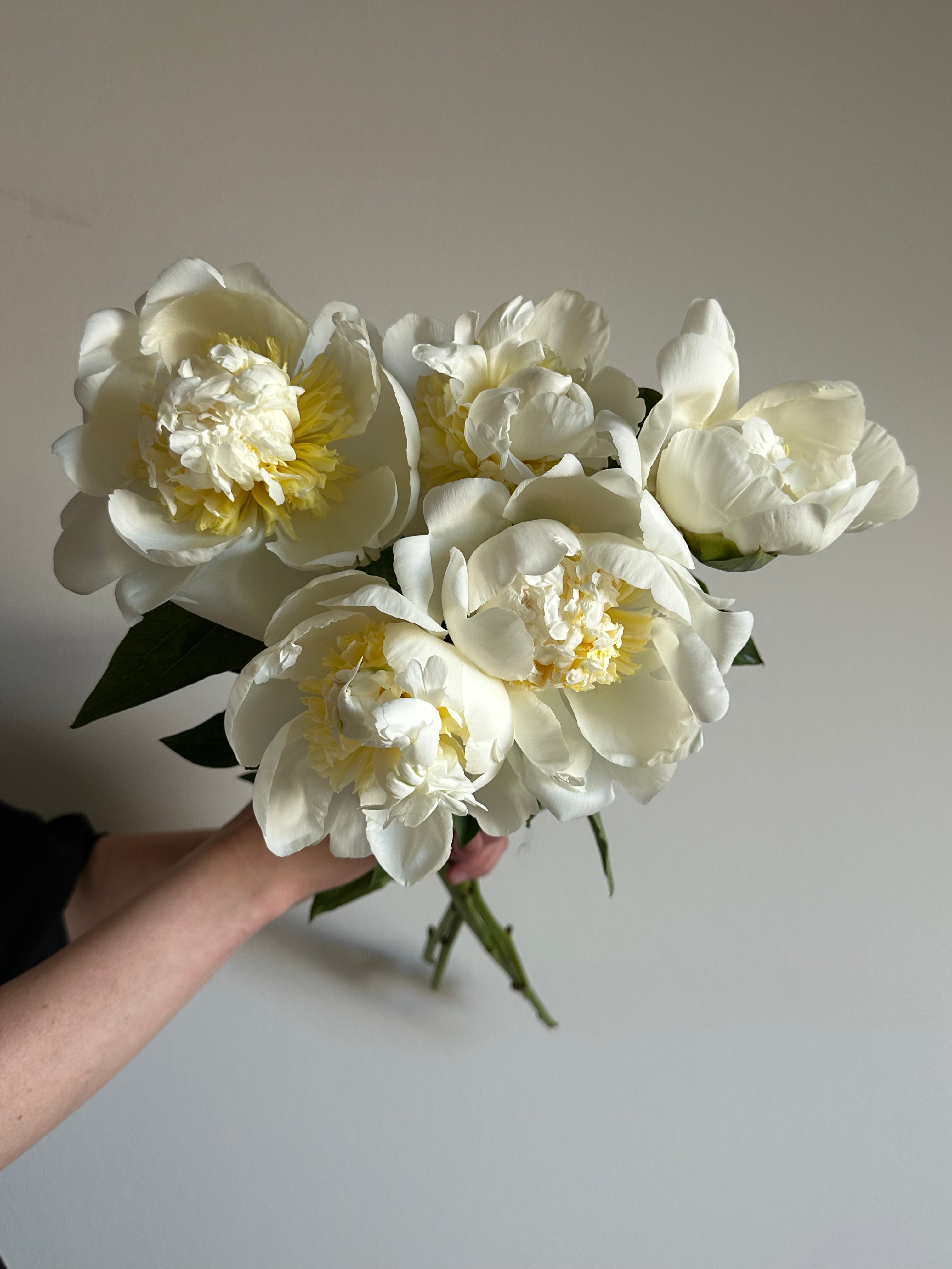 Peony Bridal Shower