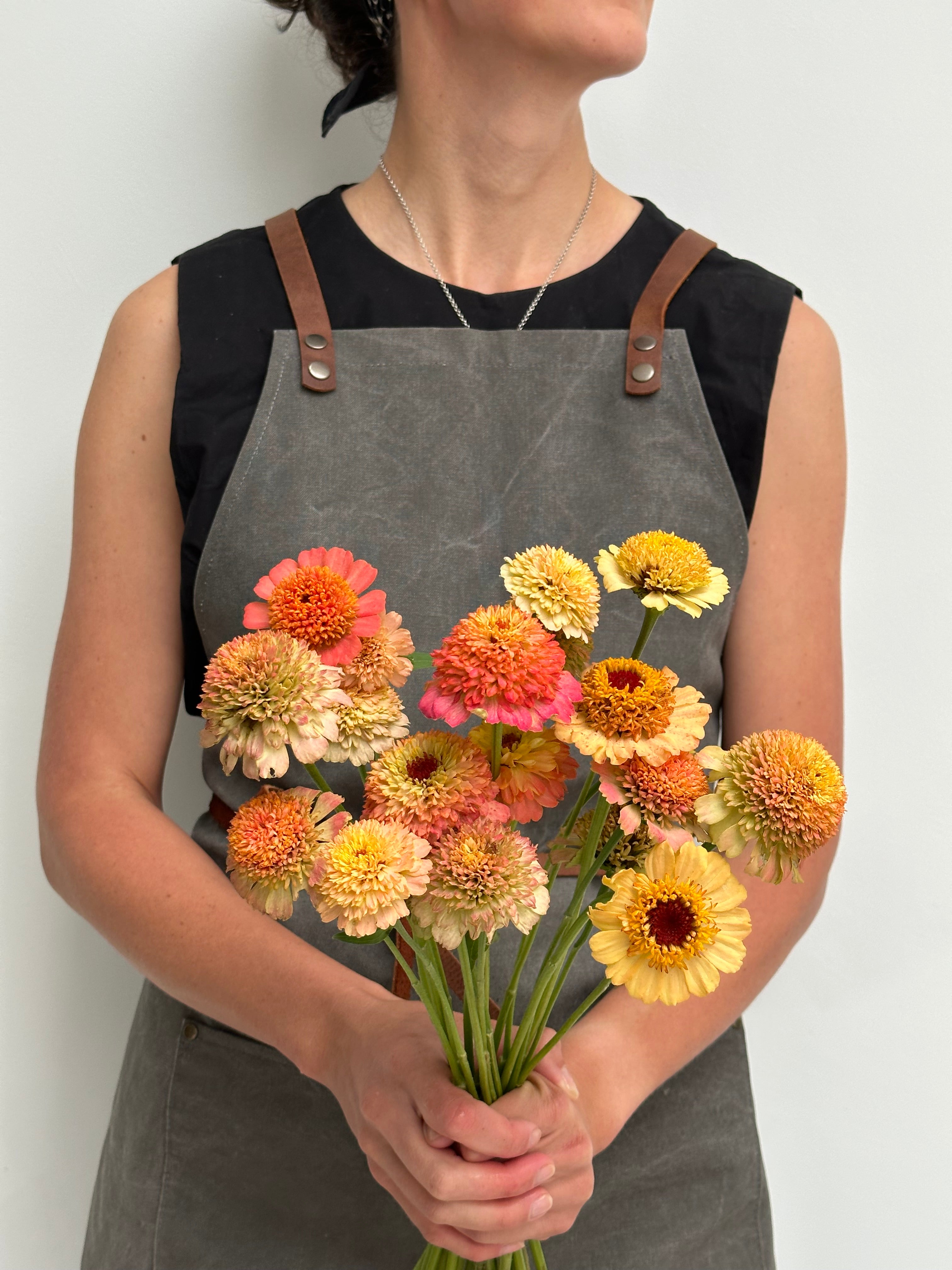 Zinnia Zinderella Peach