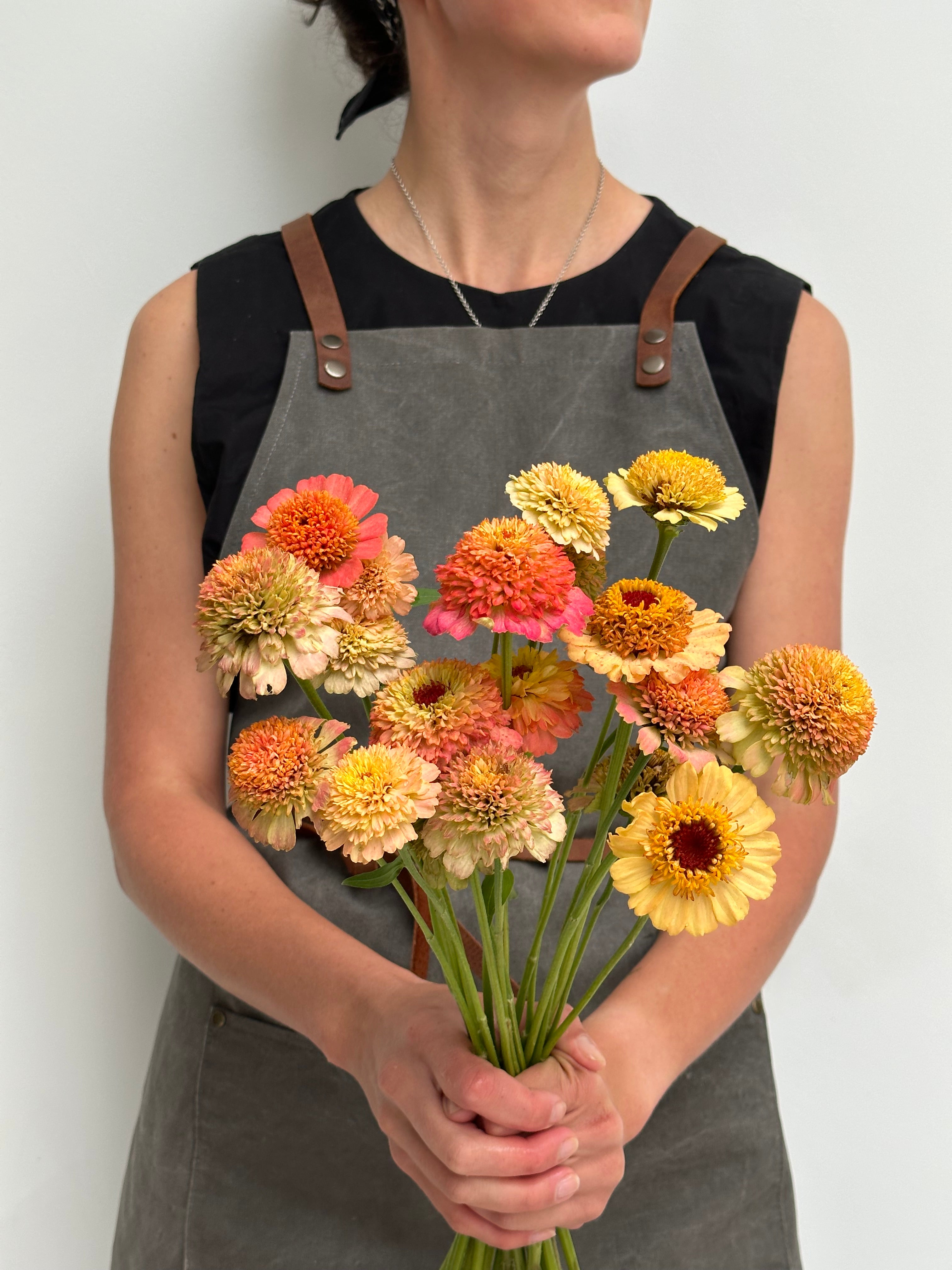 Zinnia Zinderella Peach