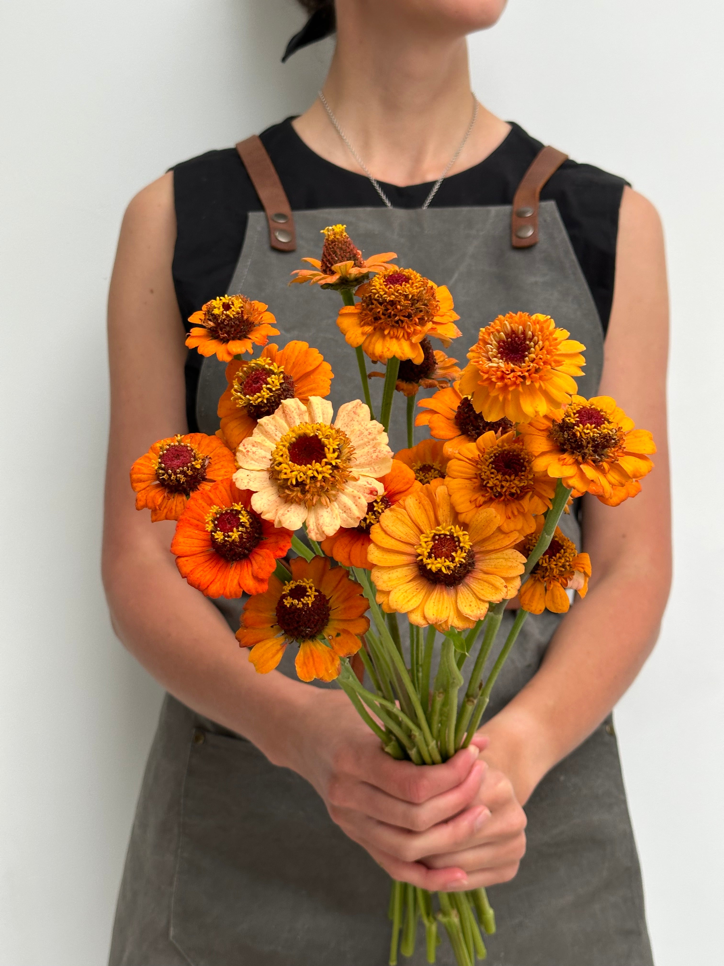 Zinnia Zinderella Orange