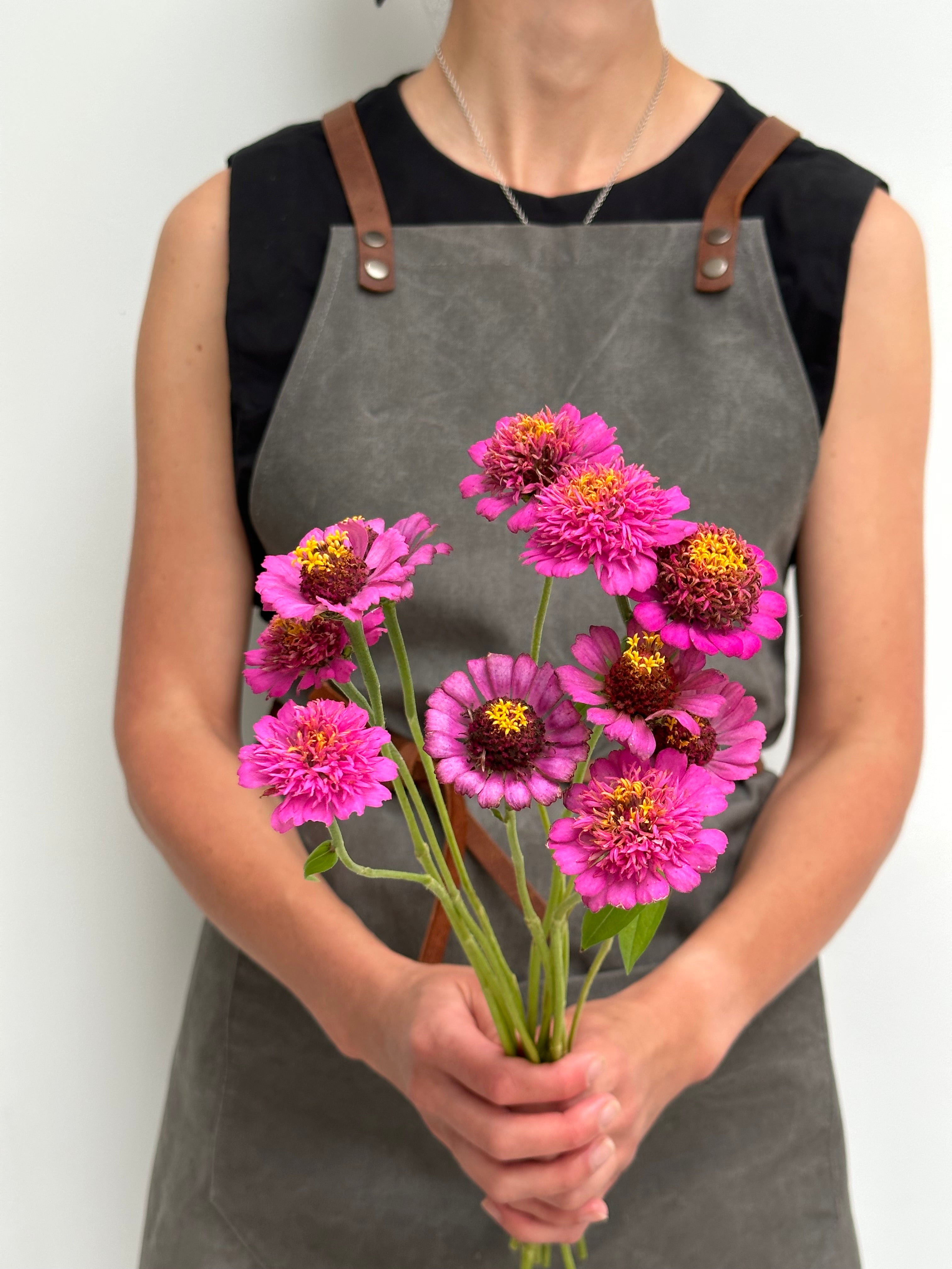 Zinnia Zinderella Purple