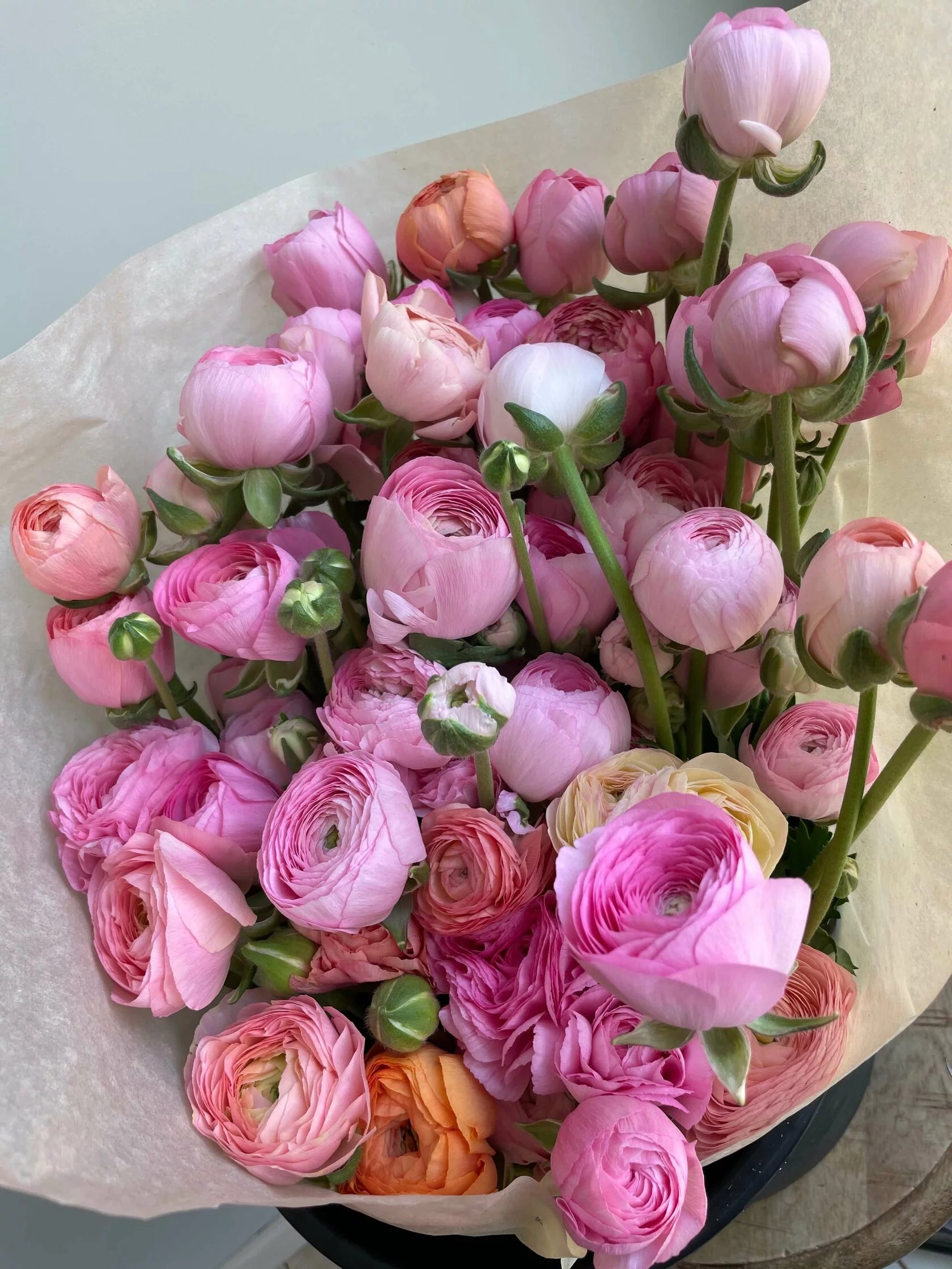 Ranunculus Pastello