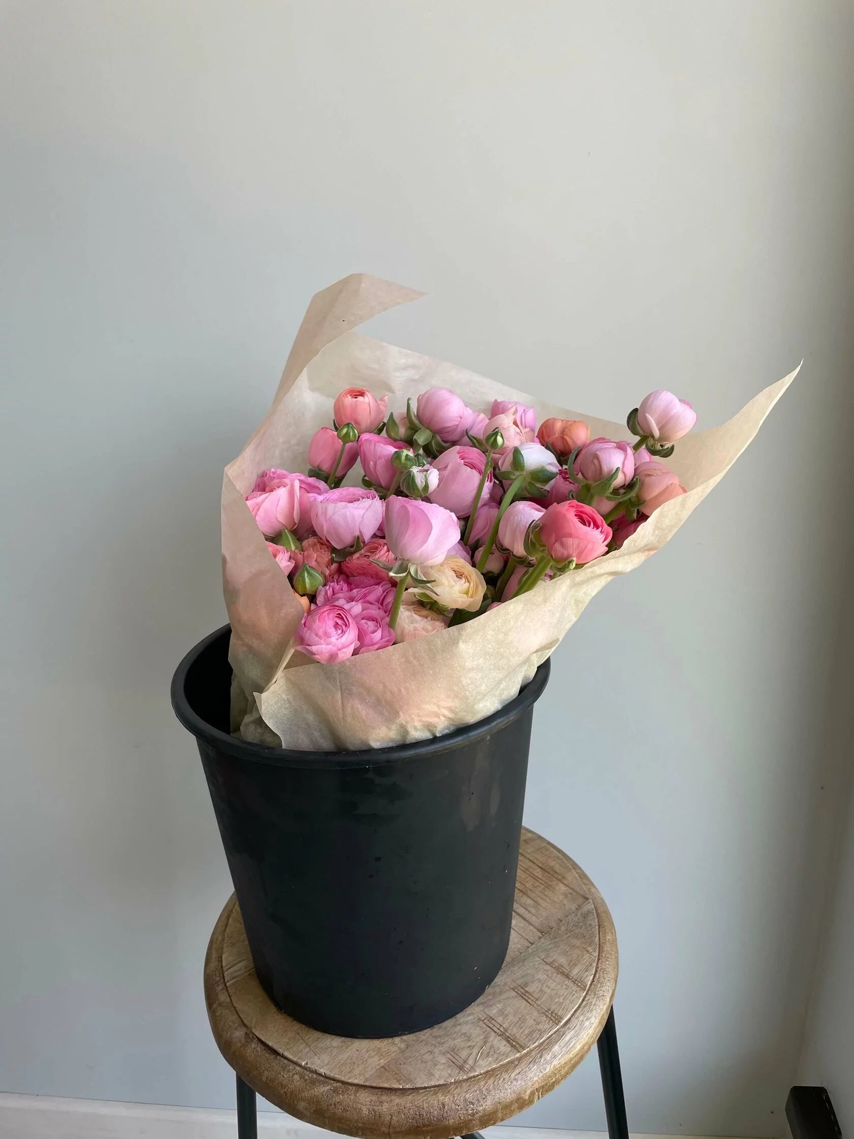 Ranunculus Pastello