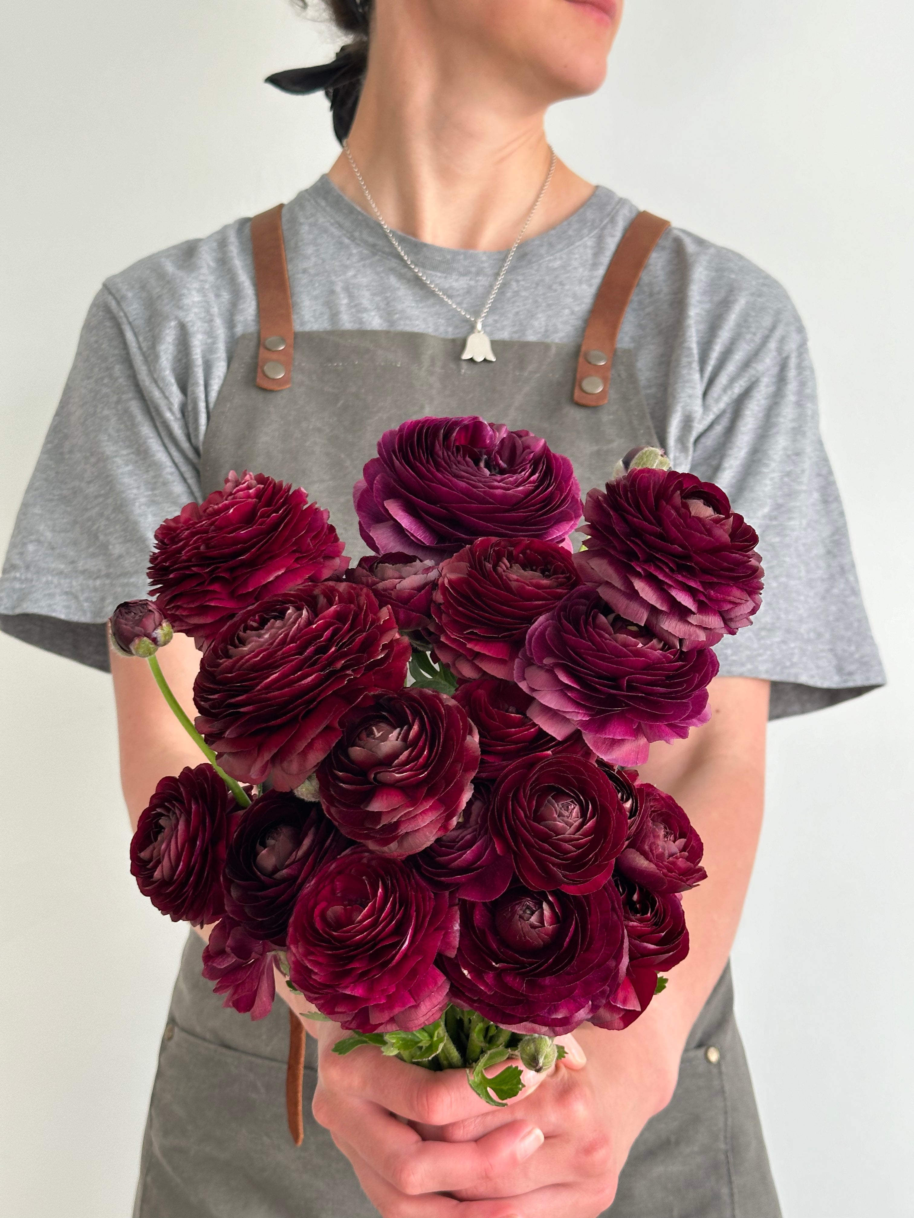 Ranunculus Viola