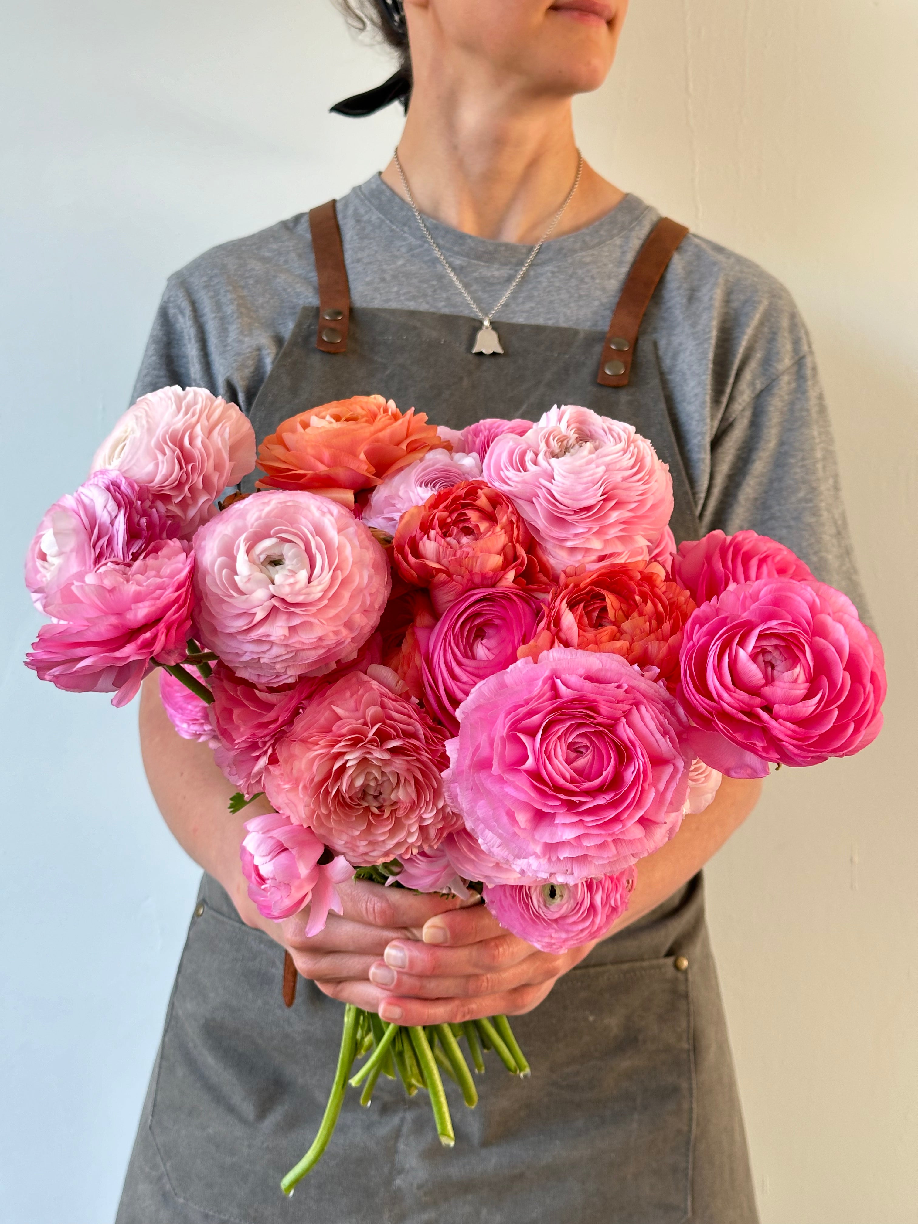 Ranunculus Pastello