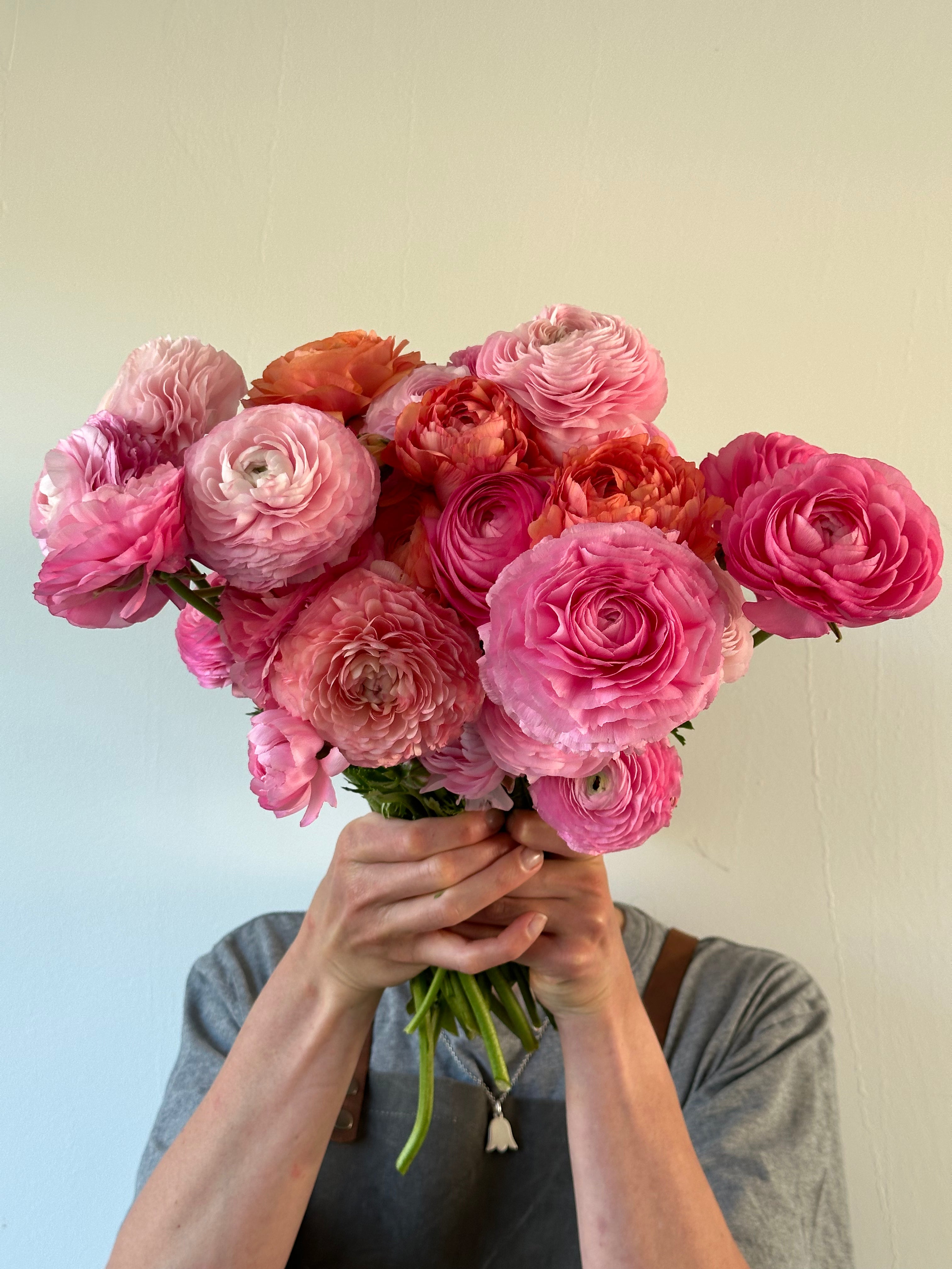 Ranunculus Pastello