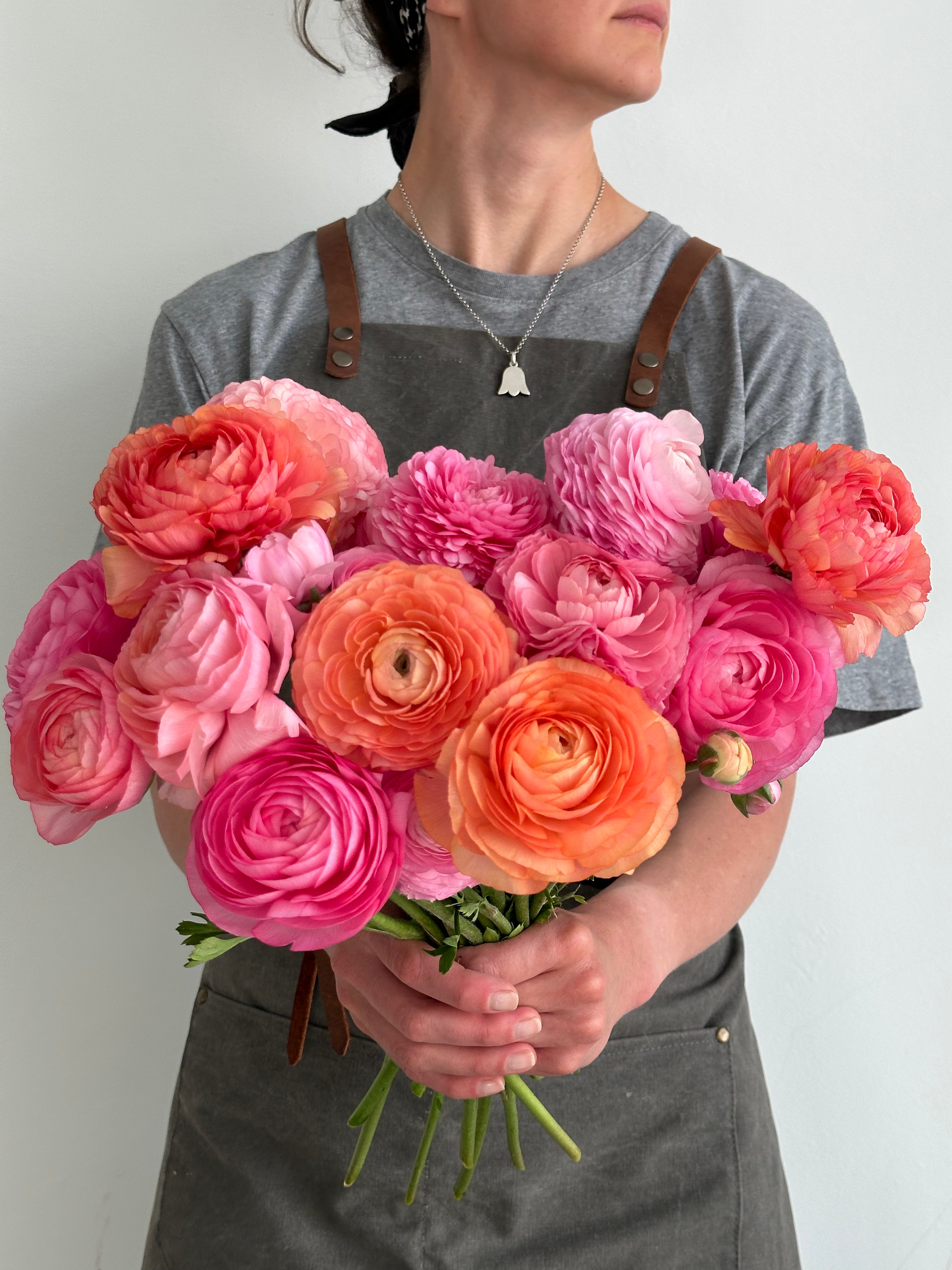 Ranunculus Pastello