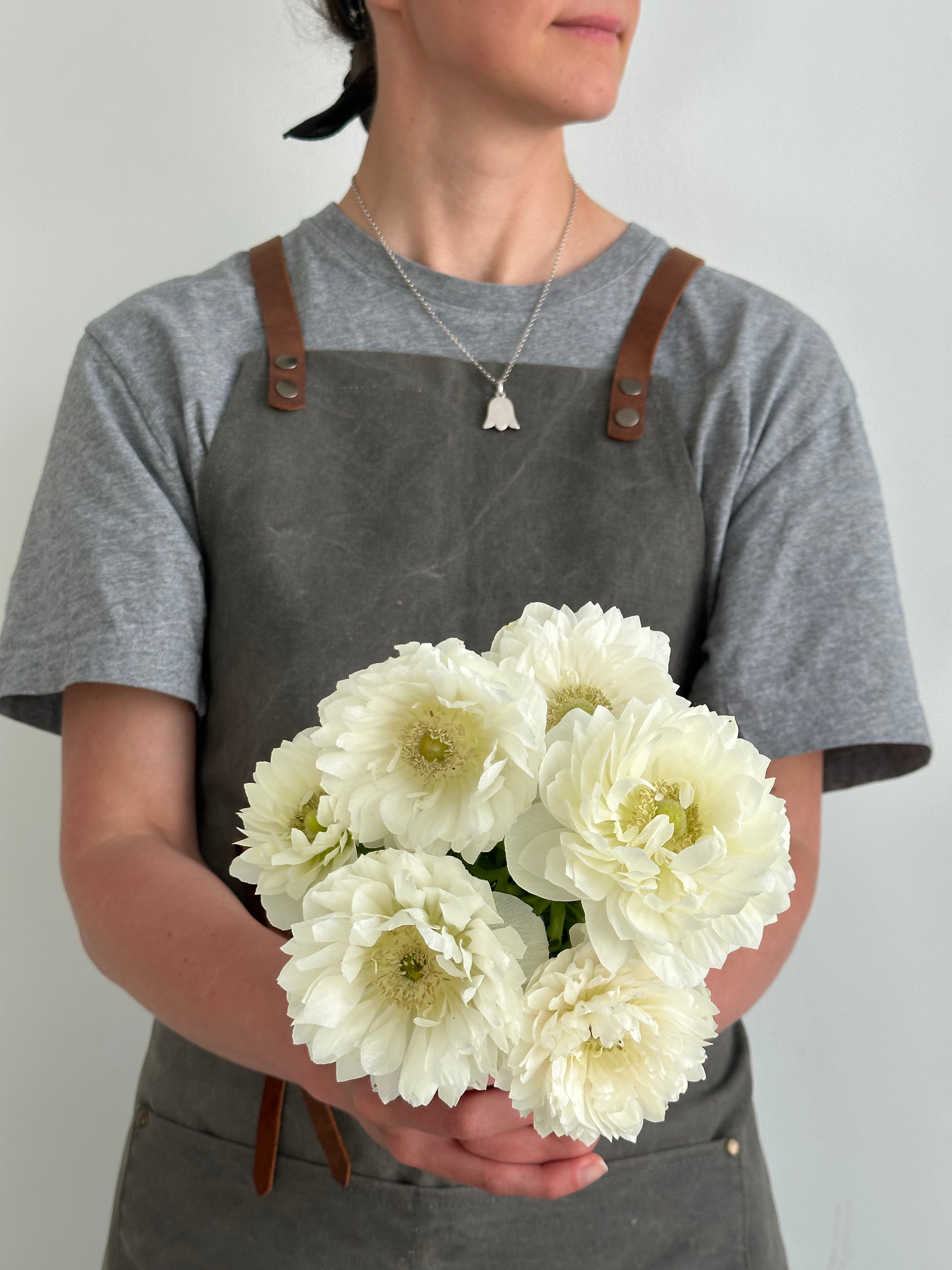 Anemone Levante Bianco